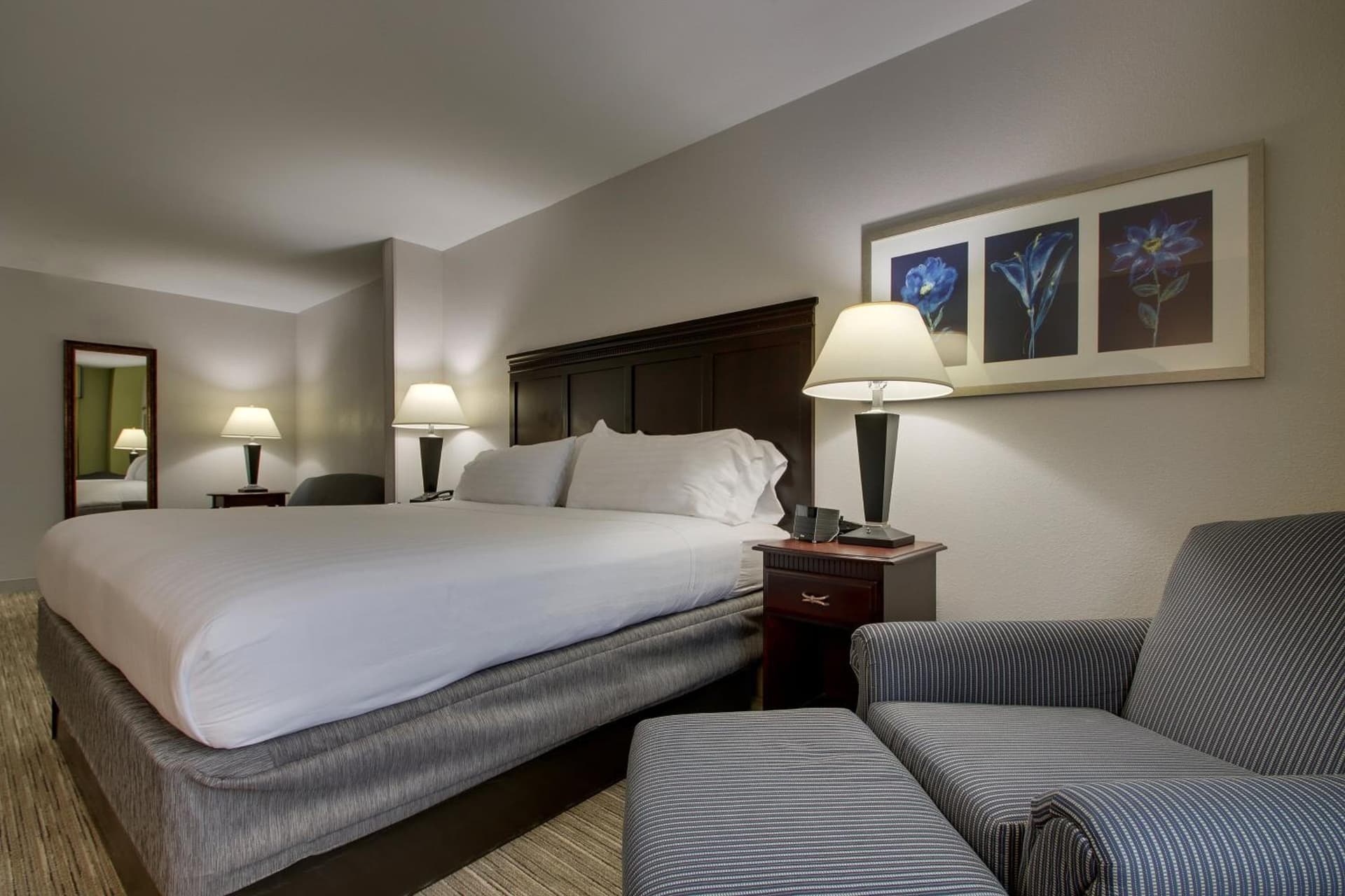 Holiday Inn Express Hotel & Suites Middleboro Raynham by IHG gallery photo in Middleboro, MA — image 31