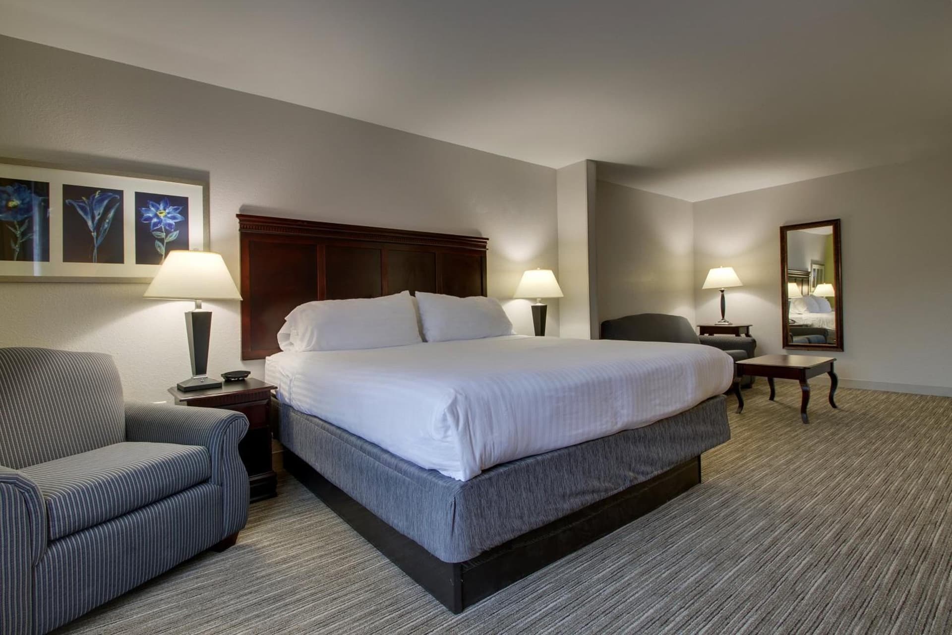 Holiday Inn Express Hotel & Suites Middleboro Raynham by IHG gallery photo in Middleboro, MA — image 17