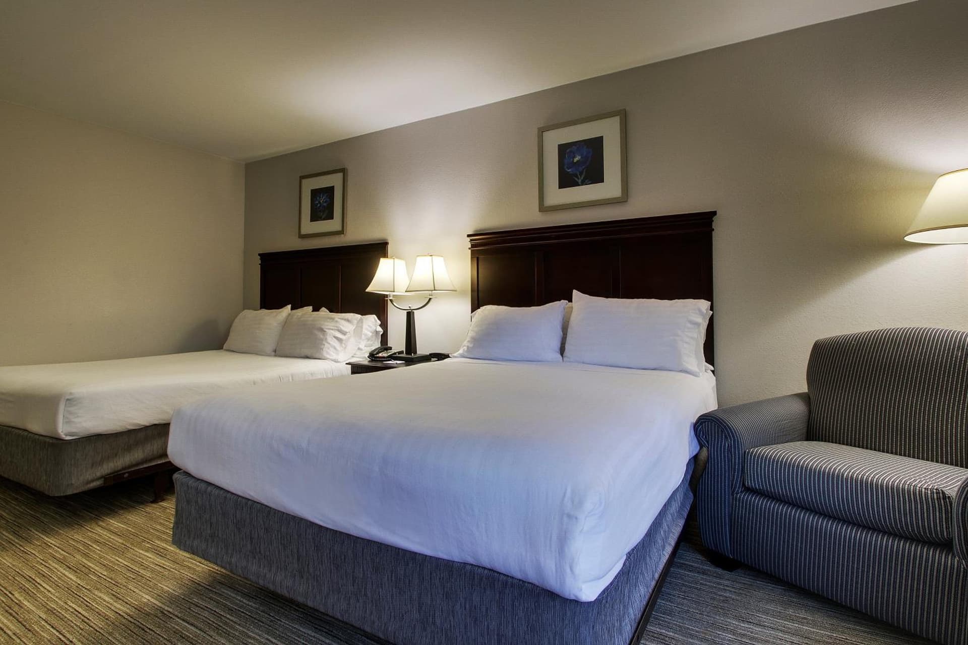 Holiday Inn Express Hotel & Suites Middleboro Raynham by IHG gallery photo in Middleboro, MA — image 34