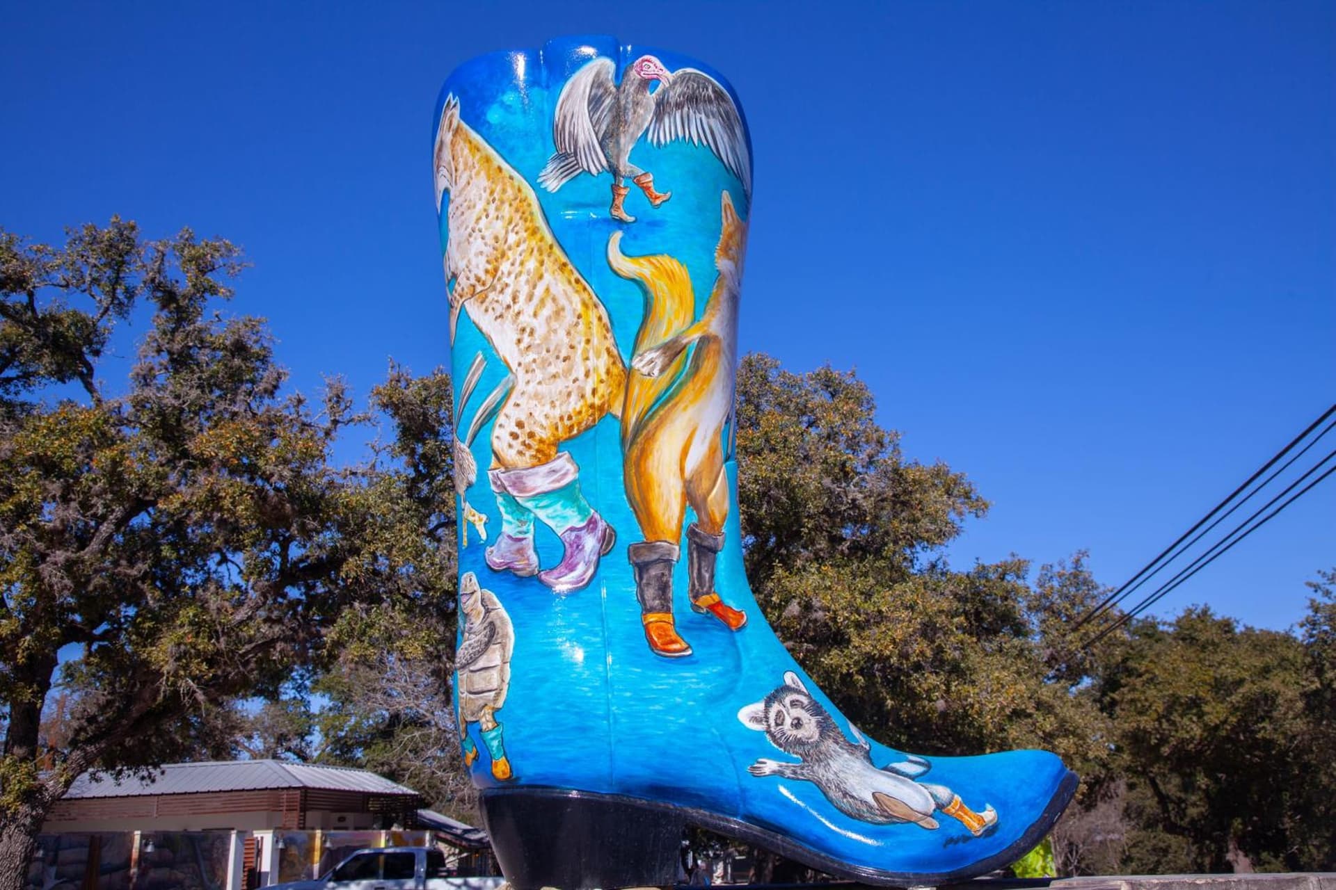 Hotel Flora and Fauna gallery photo in Wimberley, TX — image 41