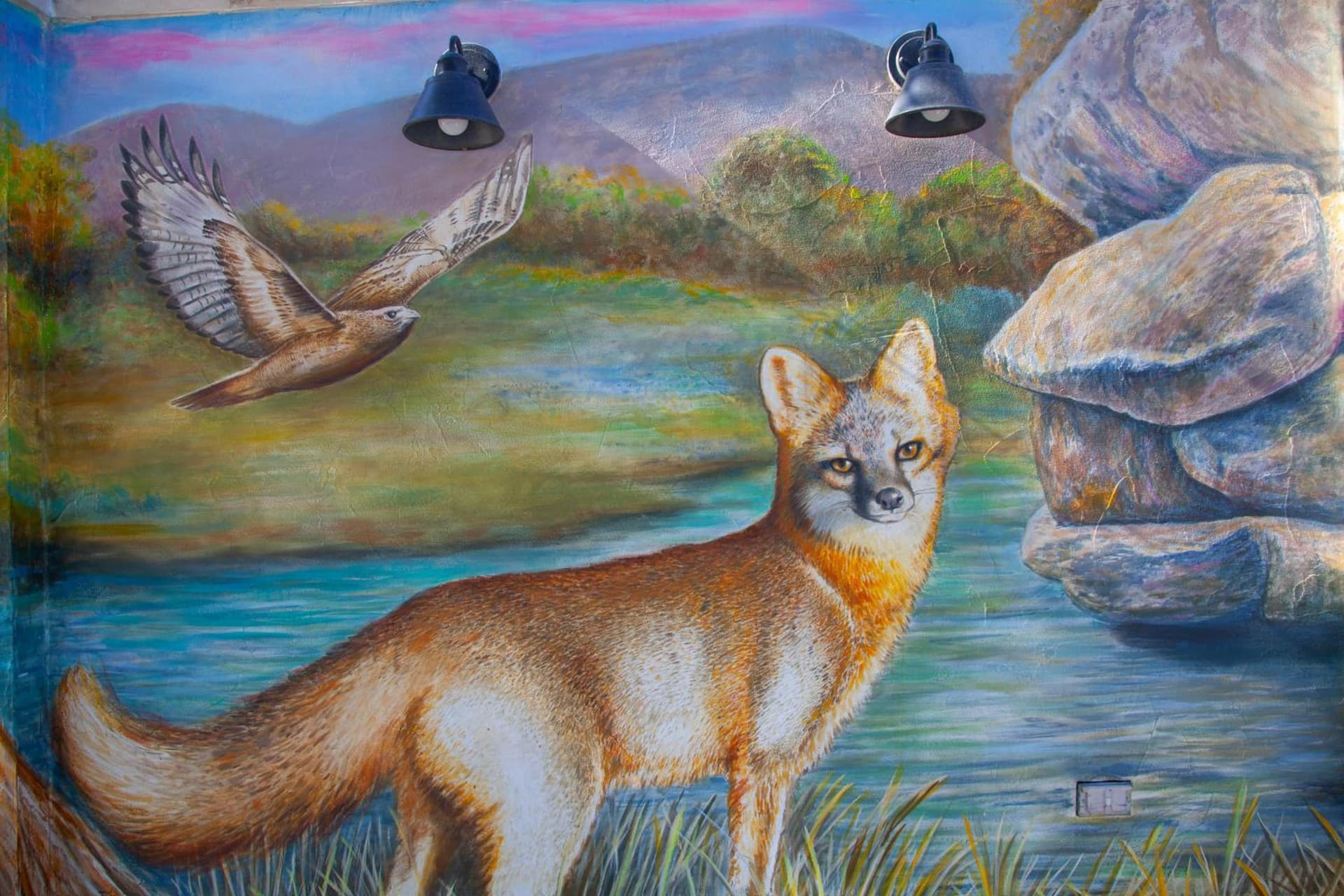 Hotel Flora and Fauna gallery photo in Wimberley, TX — image 85