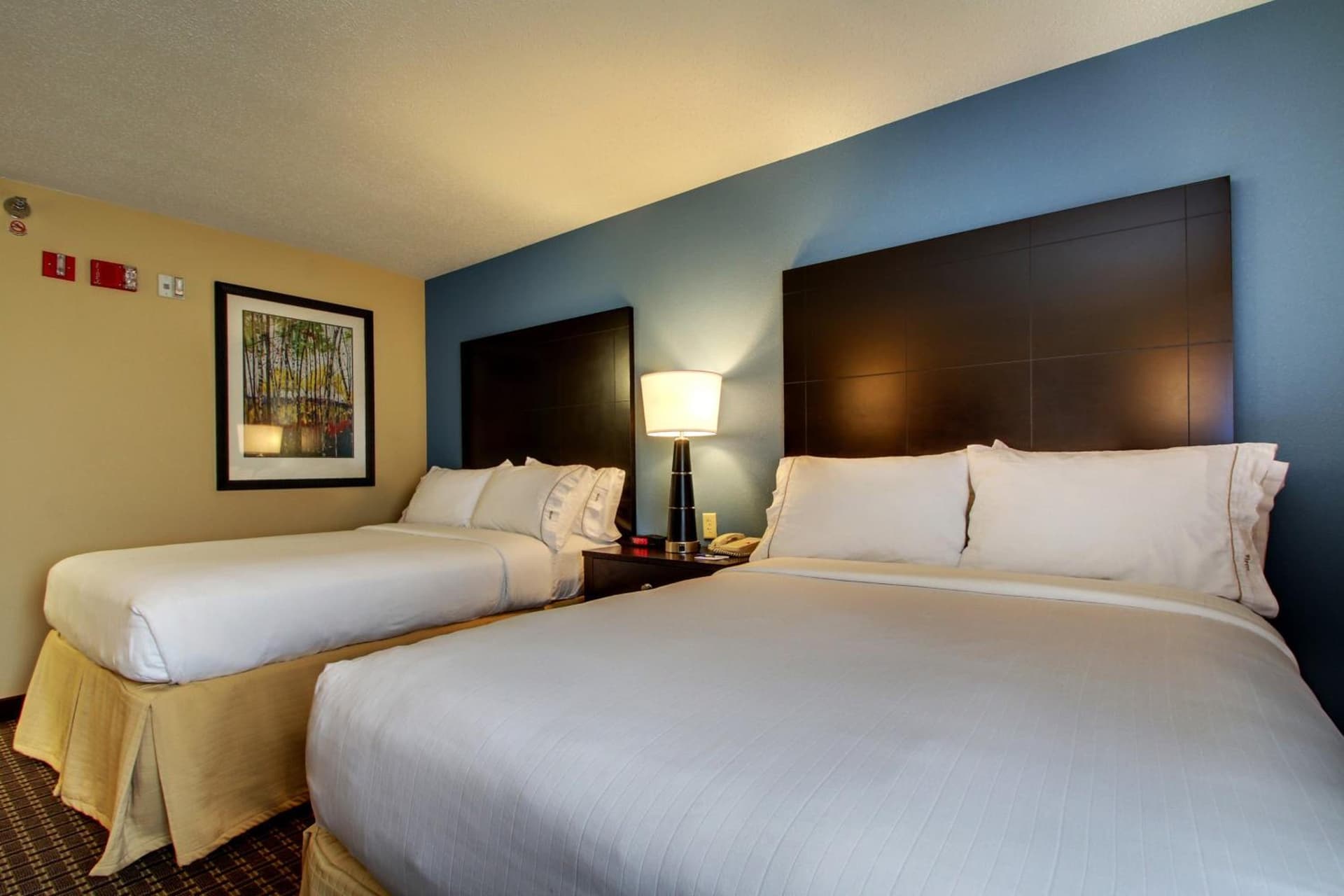 Holiday Inn Express Hotel Fort Campbell-Oak Grove by IHG gallery photo in Oak Grove, KY — image 14
