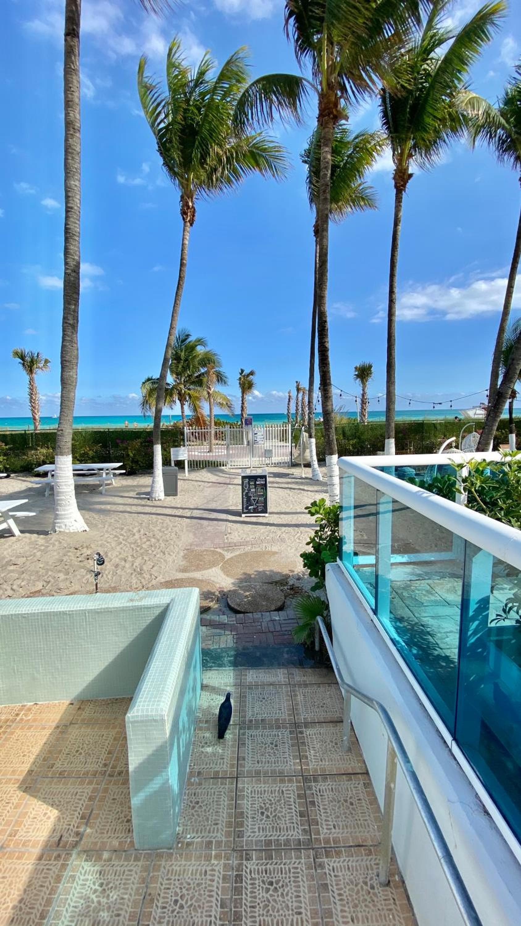 Seacoast by Miami Ambassadors interior in Miami Beach, FL — gallery photo 2