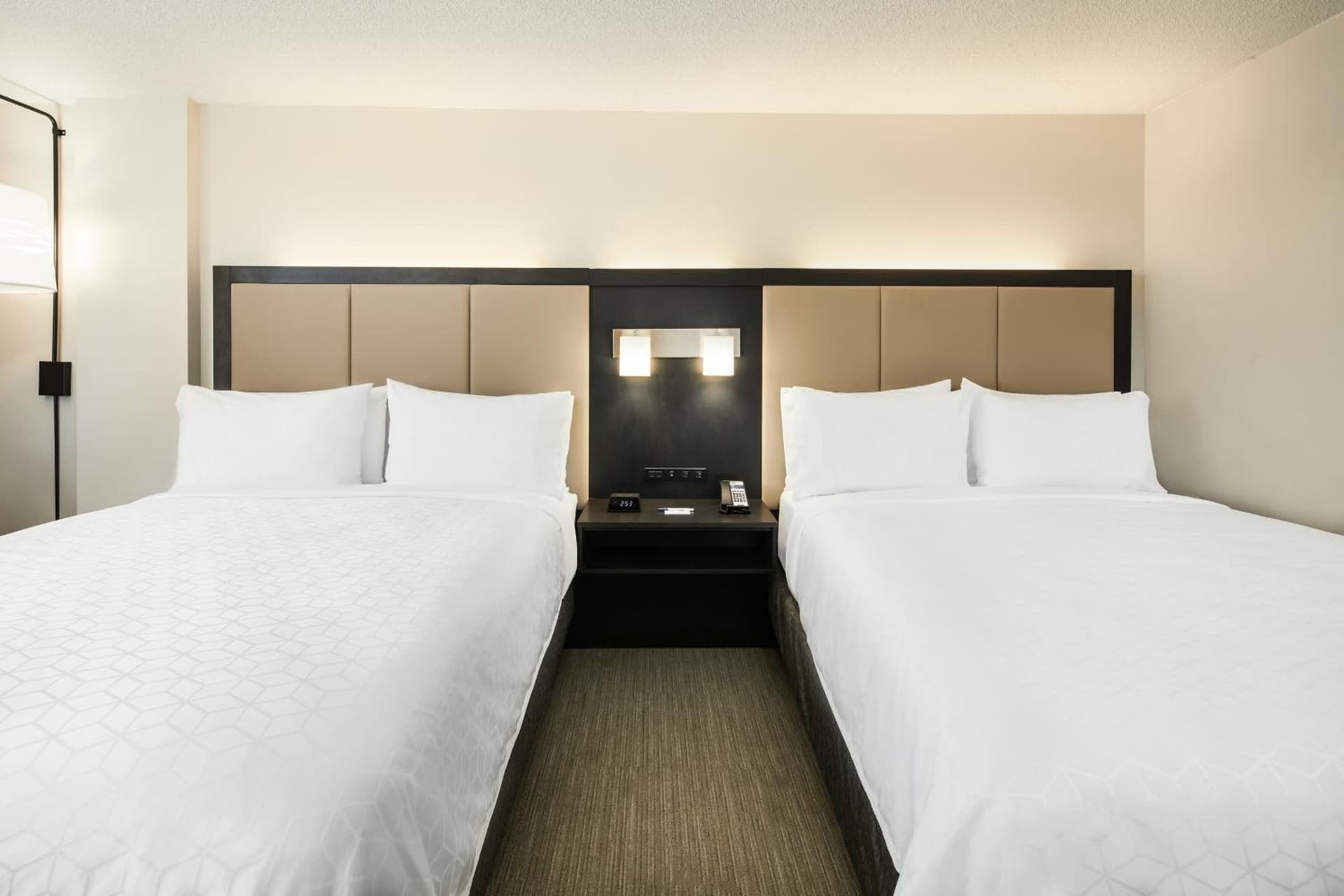 Holiday Inn Express Richmond - Midtown by IHG gallery photo in Richmond, VA — image 46