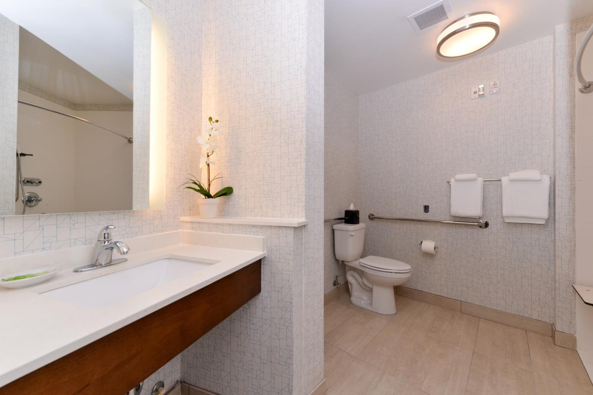 Holiday Inn Express & Suites - St. Petersburg - Madeira Beach by IHG gallery photo in St Petersburg, FL — image 19