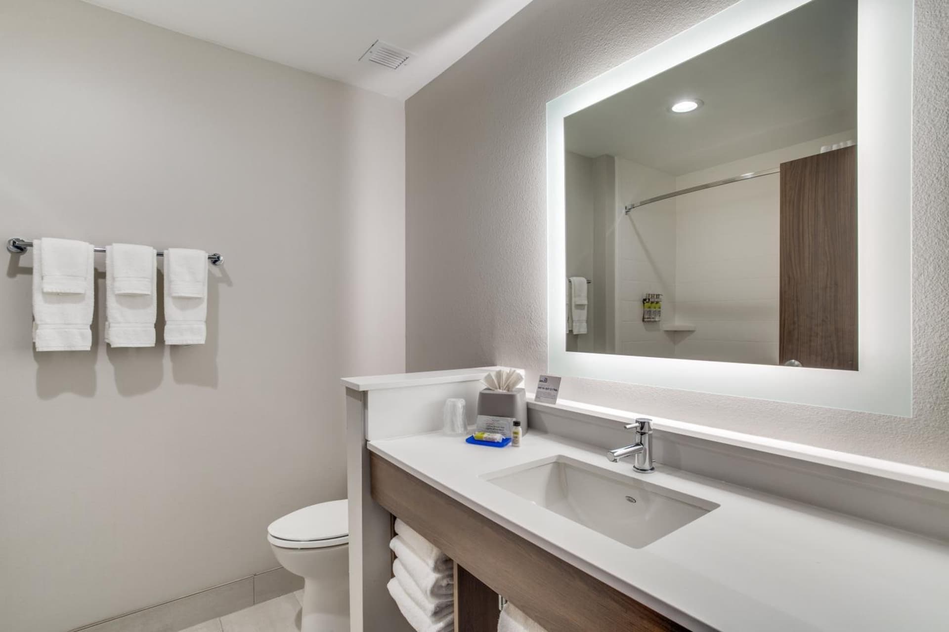 Holiday Inn Express & Suites - Denton South by IHG gallery photo in Denton, TX — image 39
