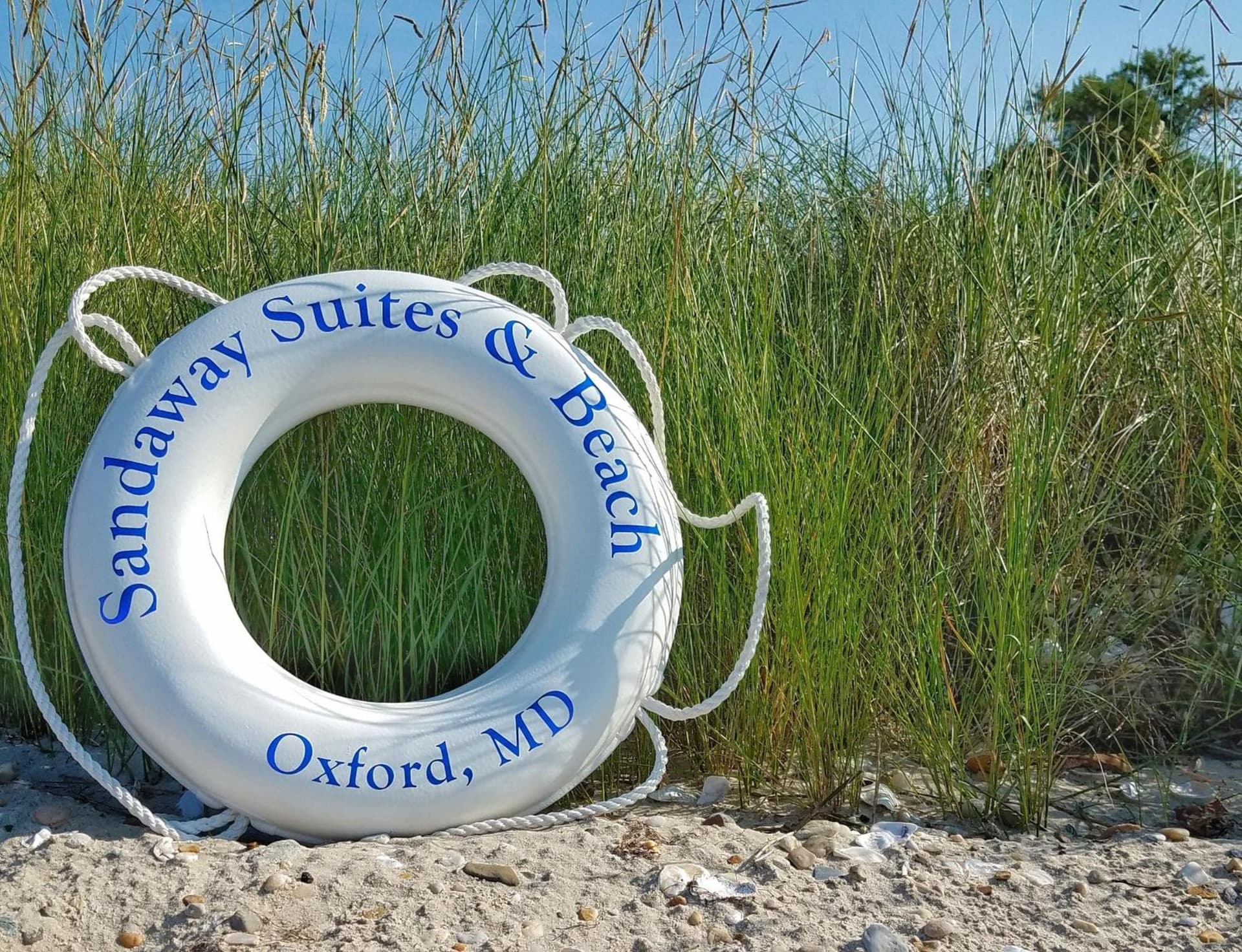 Sandaway Suites & Beach gallery photo in Oxford, MD — image 202