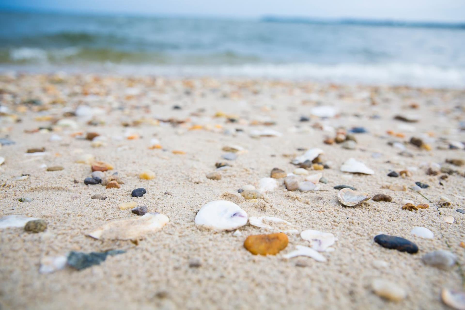 Sandaway Suites & Beach gallery photo in Oxford, MD — image 125