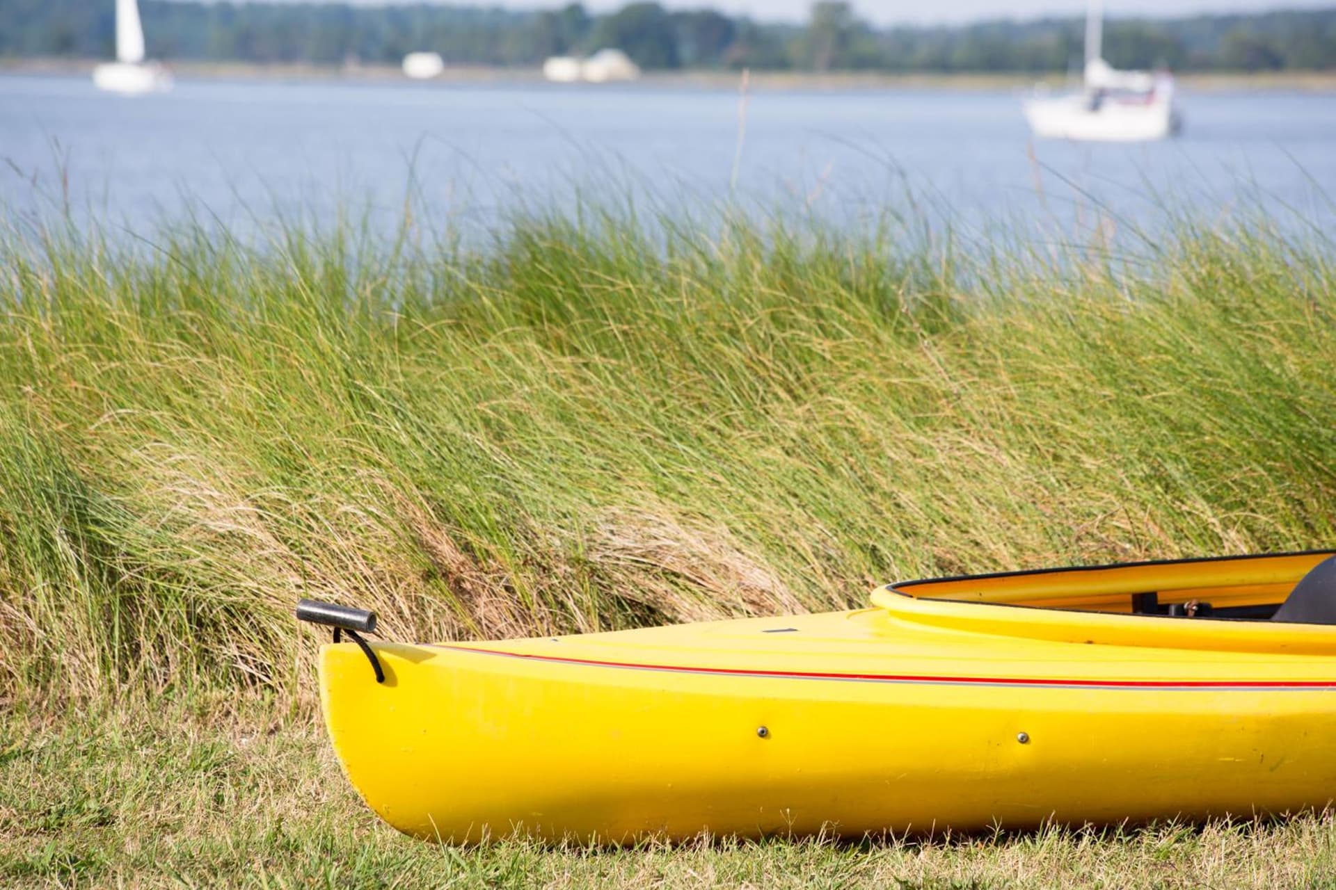 Sandaway Suites & Beach gallery photo in Oxford, MD — image 178