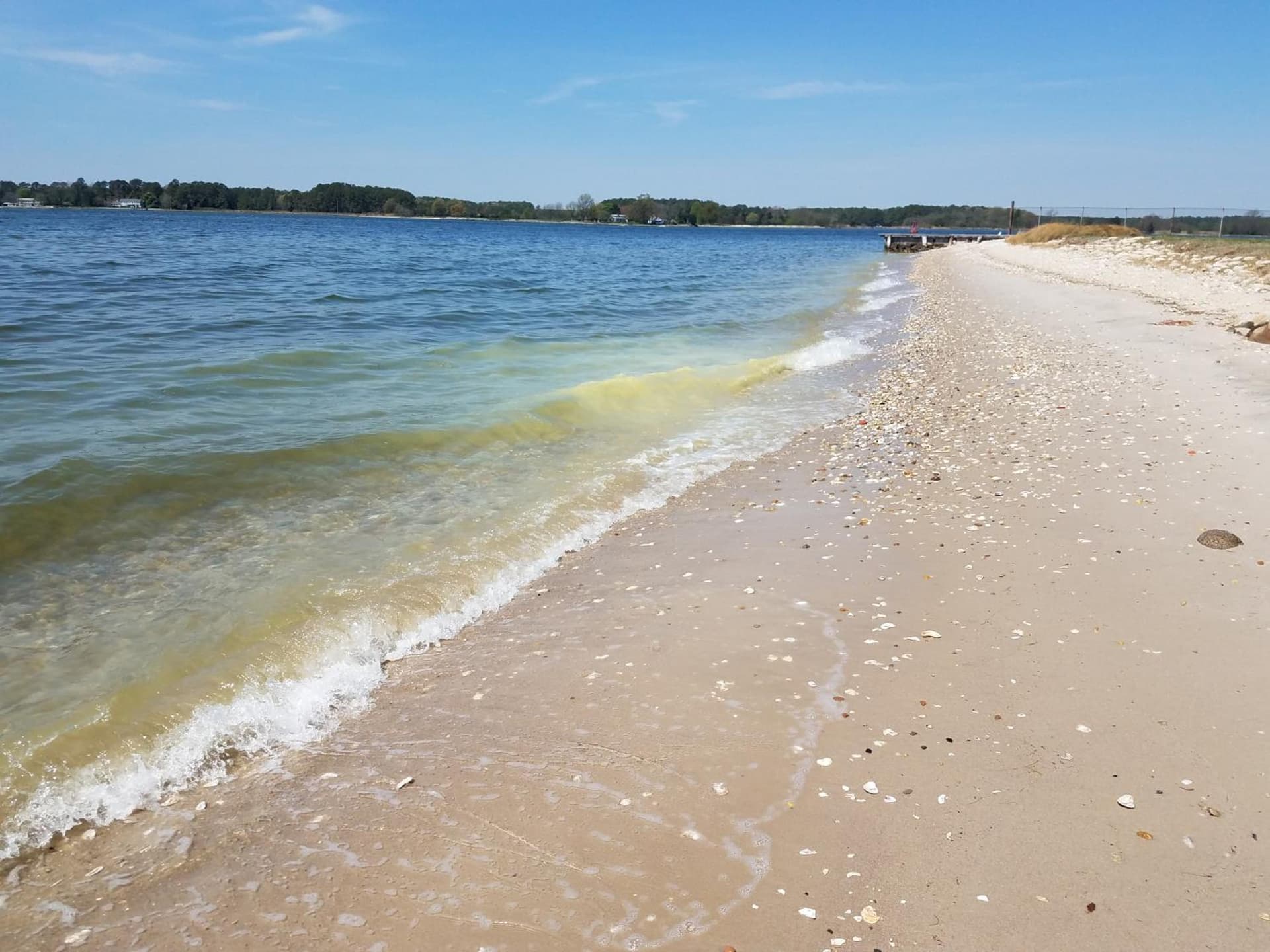 Sandaway Suites & Beach gallery photo in Oxford, MD — image 19