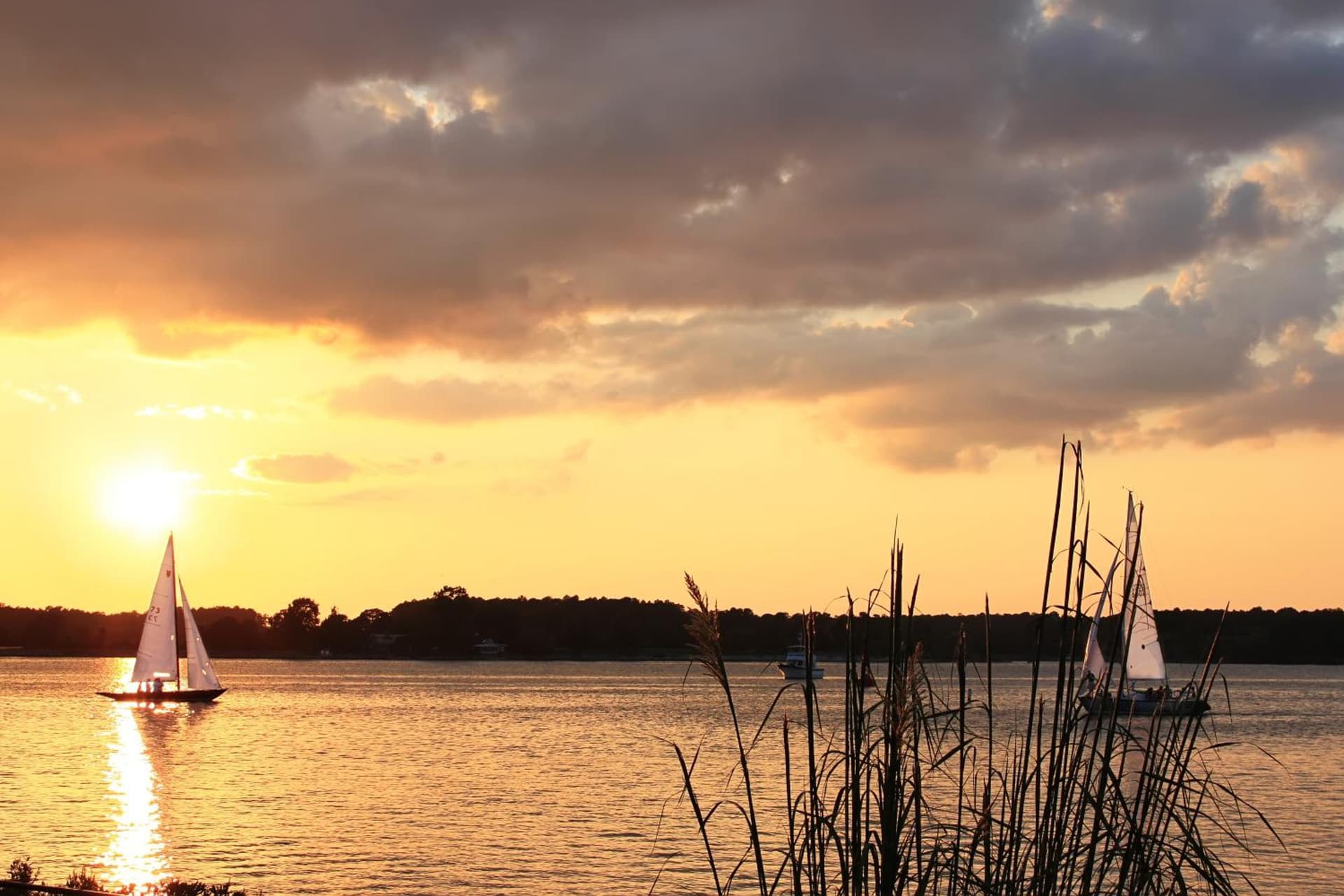 Sandaway Suites & Beach gallery photo in Oxford, MD — image 185