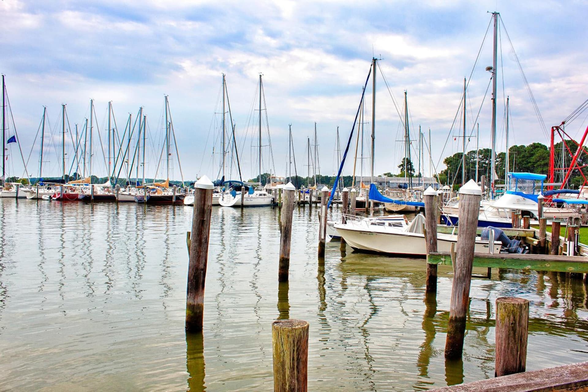 Sandaway Suites & Beach gallery photo in Oxford, MD — image 141