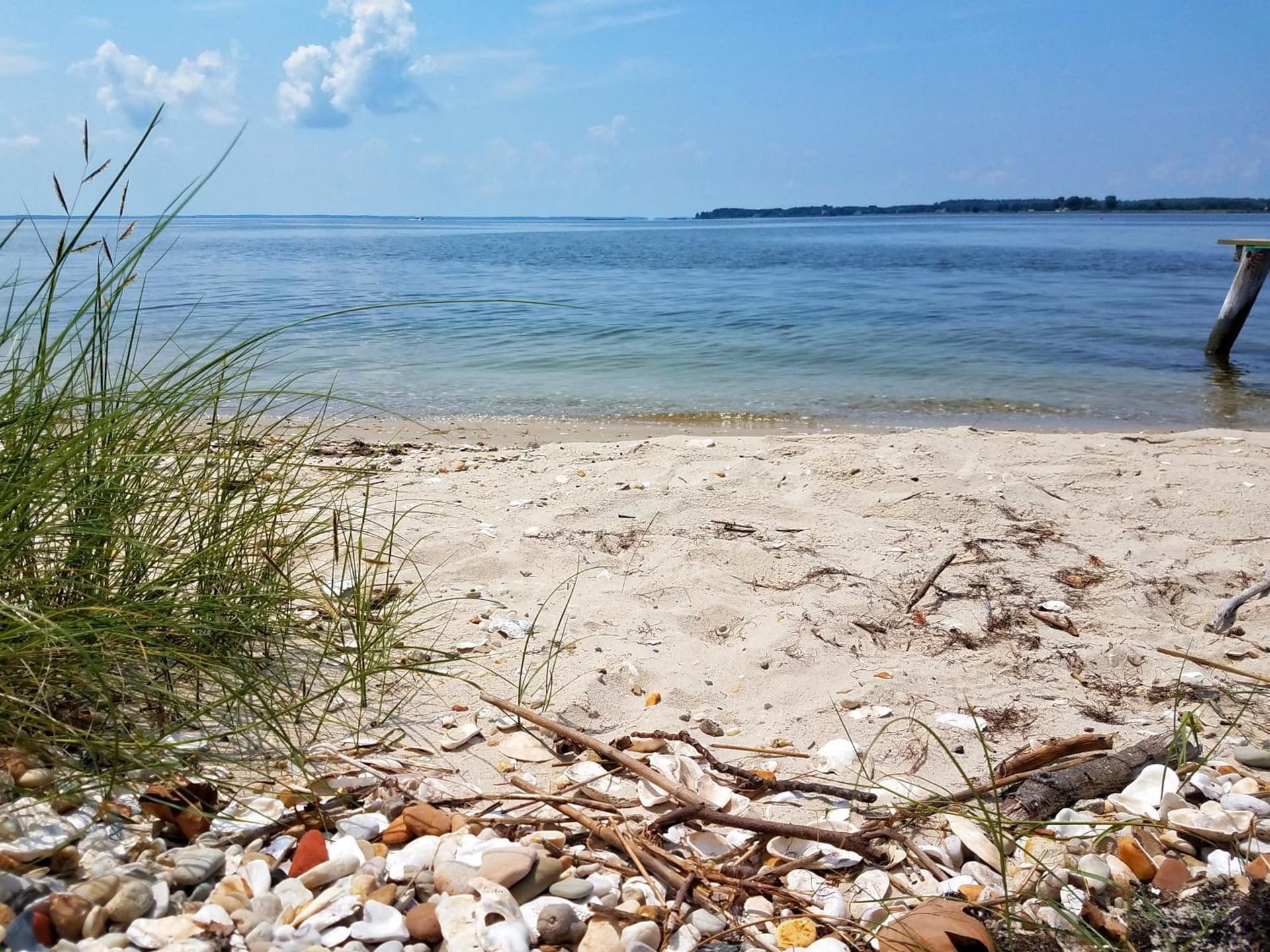 Sandaway Suites & Beach gallery photo in Oxford, MD — image 190