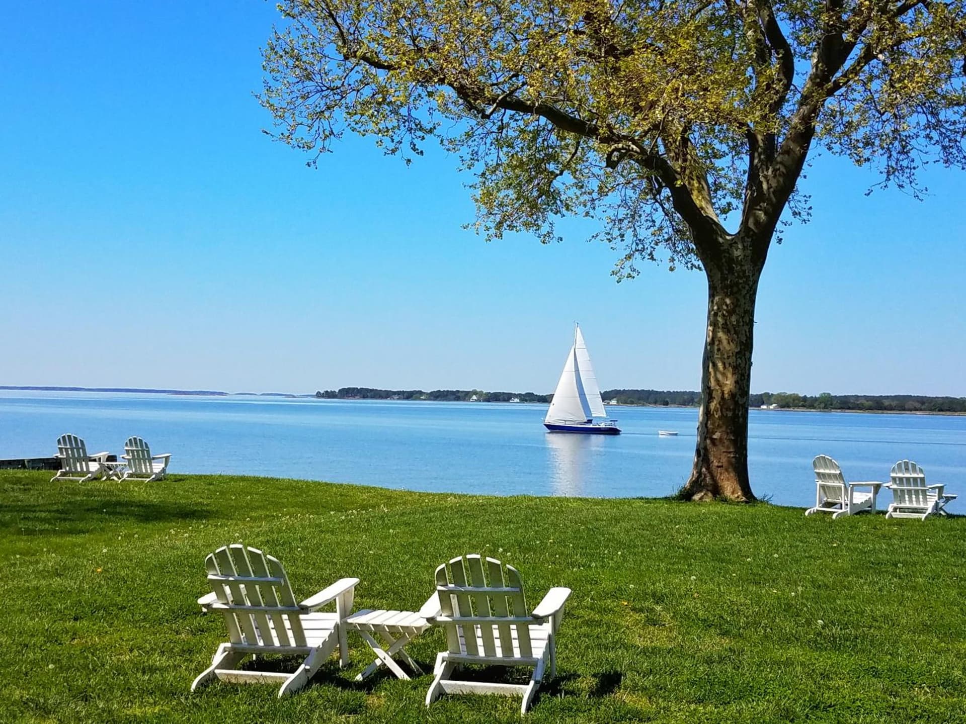Sandaway Suites & Beach gallery photo in Oxford, MD — image 57