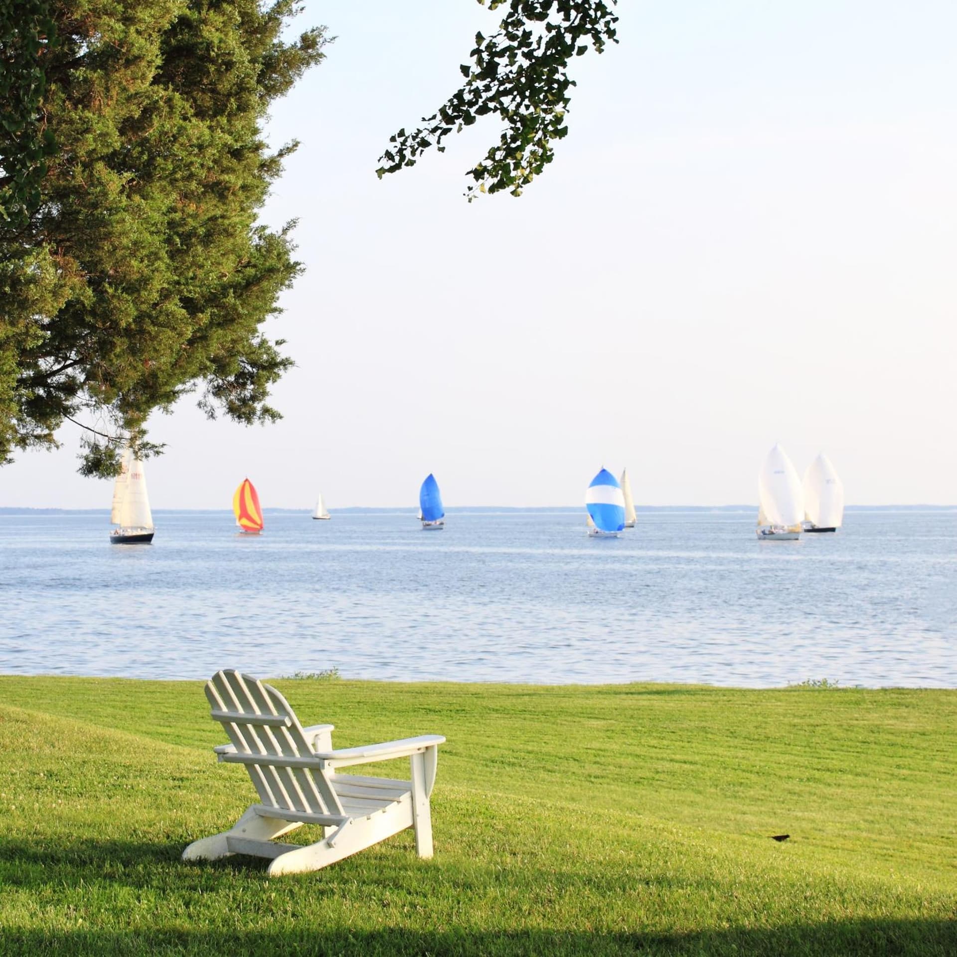 Sandaway Suites & Beach gallery photo in Oxford, MD — image 61