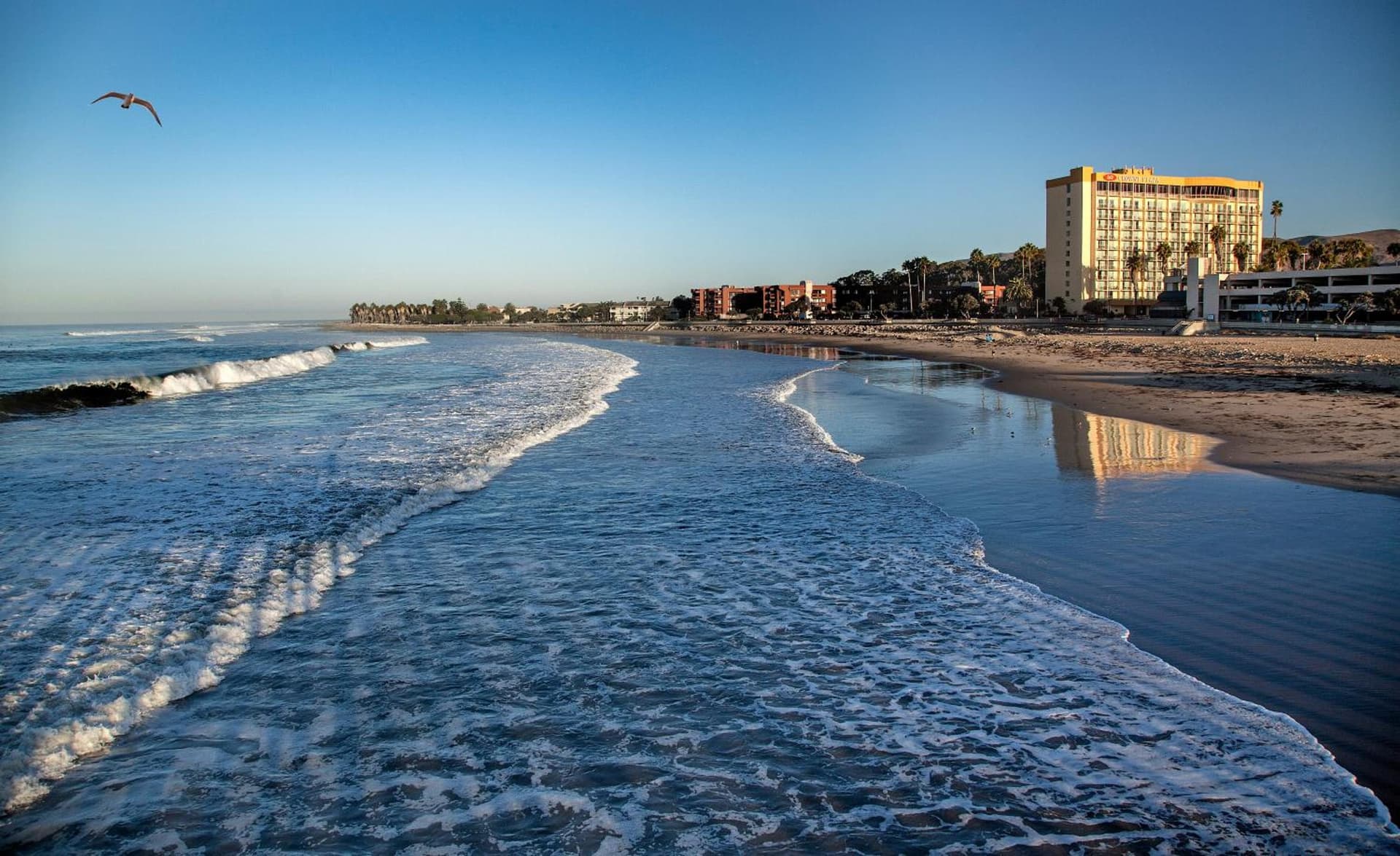 Crowne Plaza Ventura Beach by IHG gallery photo in Ventura, CA — image 20
