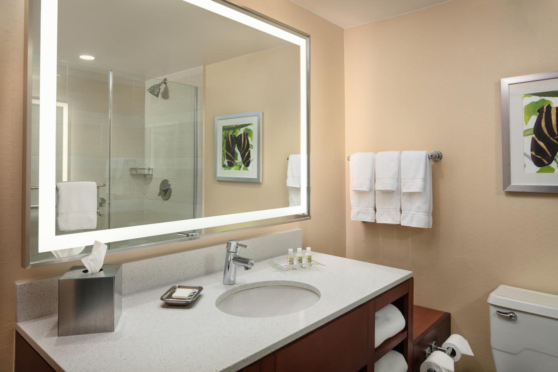 Holiday Inn Austin -Town Lake by IHG gallery photo in Austin, TX — image 31