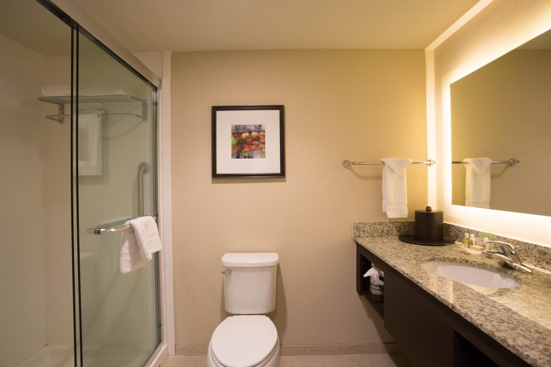 Holiday Inn Murfreesboro by IHG property views in Murfreesboro, TN — gallery photo 3