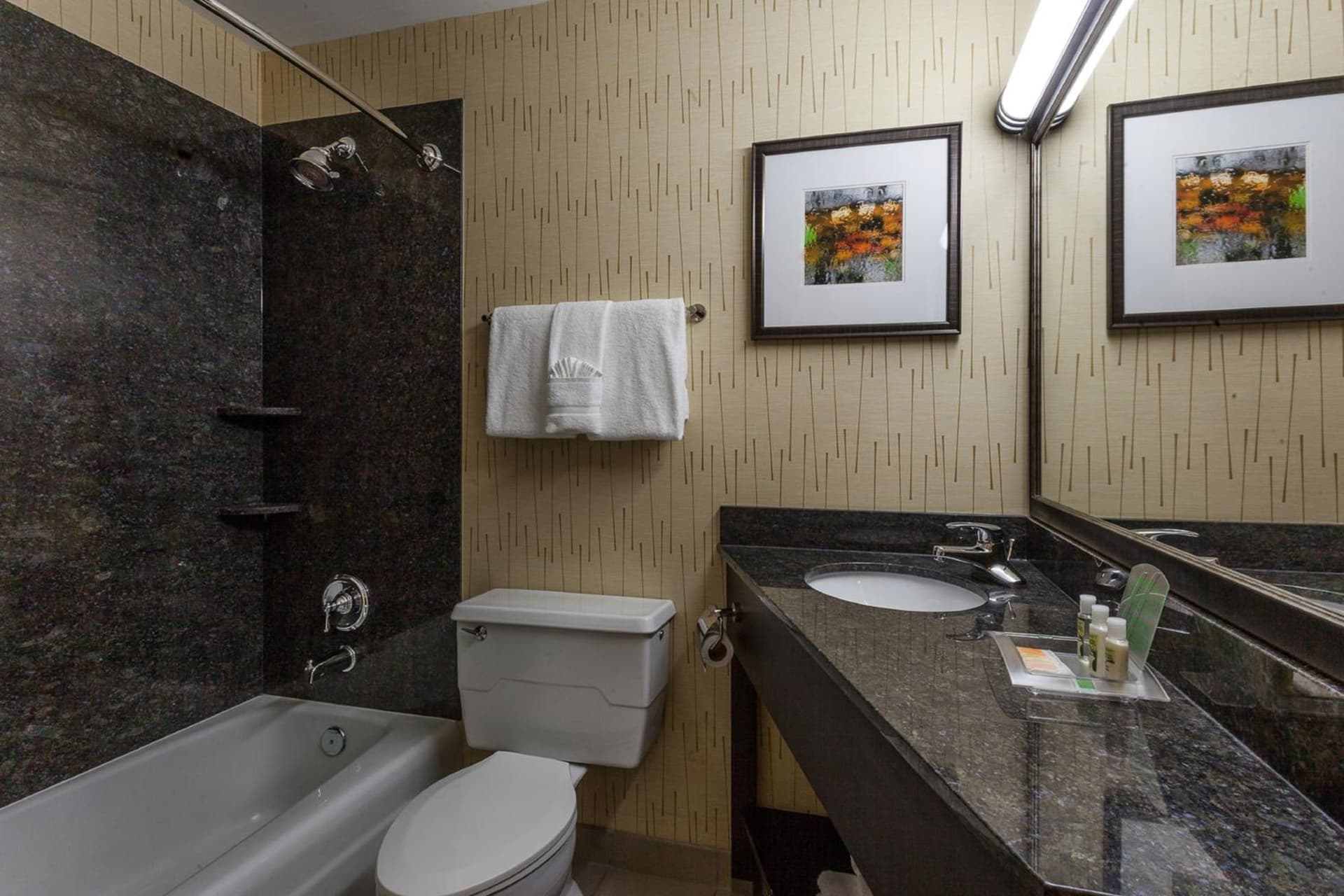 Holiday Inn Chicago North-Evanston by IHG gallery photo in Evanston, IL — image 5