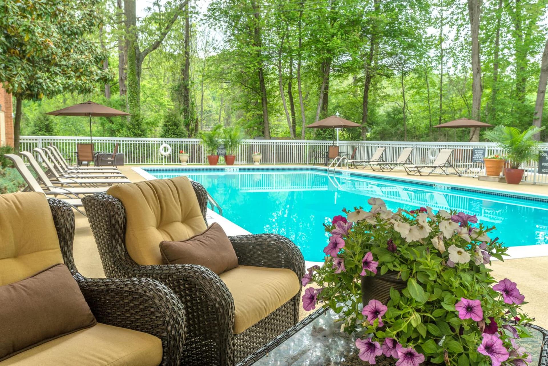 Holiday Inn Charlottesville-Monticello by IHG gallery photo in Charlottesville, VA — image 24
