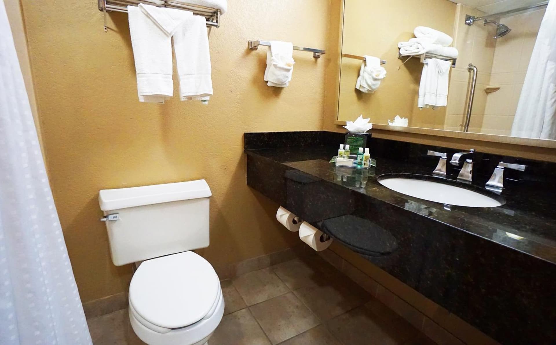 Holiday Inn Corpus Christi Downtown Marina by IHG gallery photo in Corpus Christi, TX — image 19