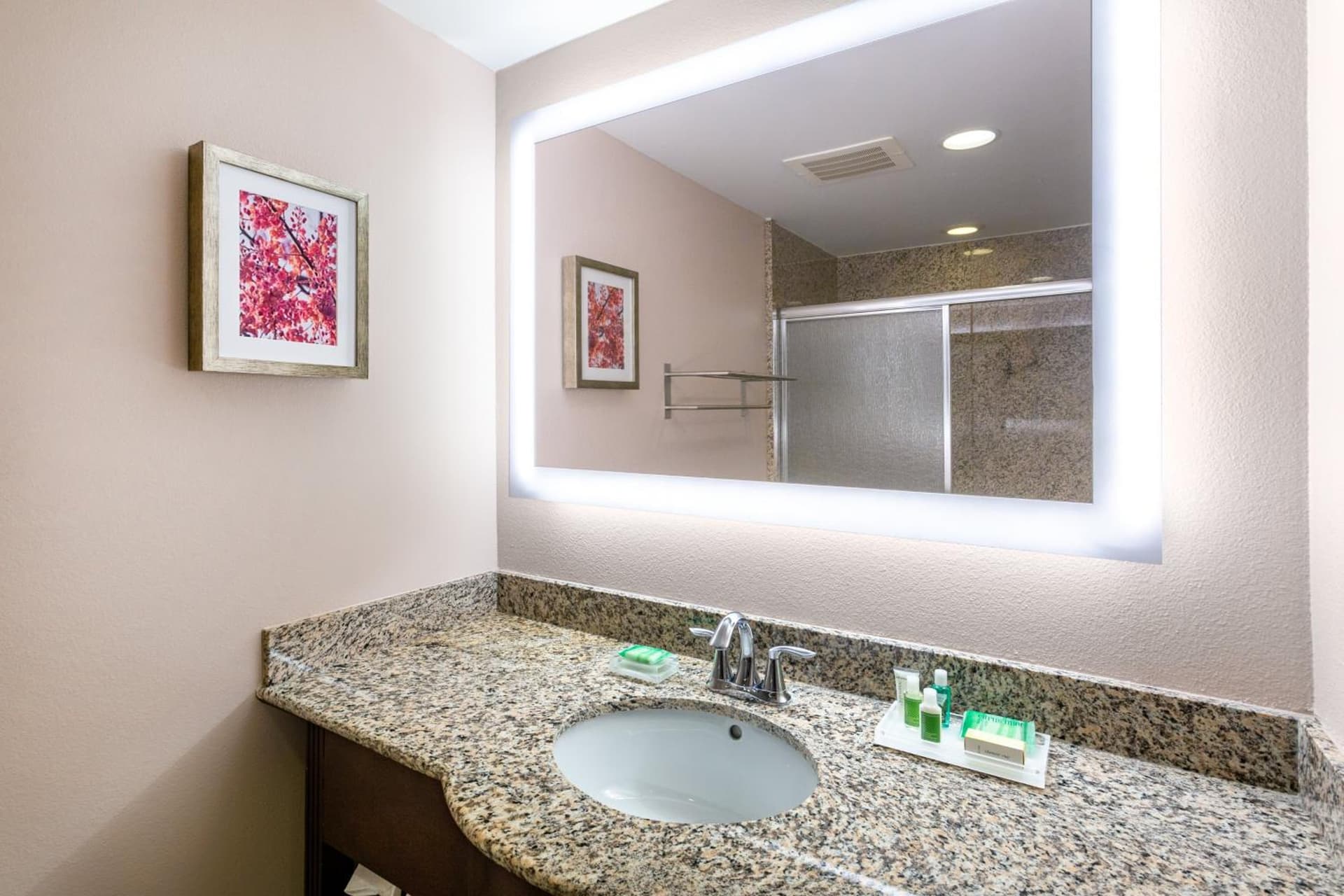 Holiday Inn Winter Haven by IHG gallery photo in Winter Haven, FL — image 20