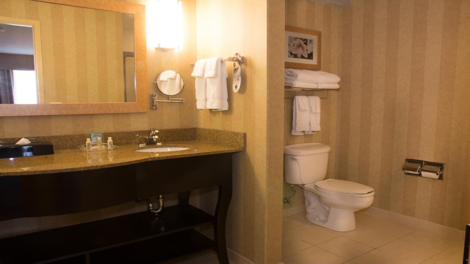 Holiday Inn Saint Louis-Fairview Heights by IHG gallery photo in Fairview Heights, IL — image 14