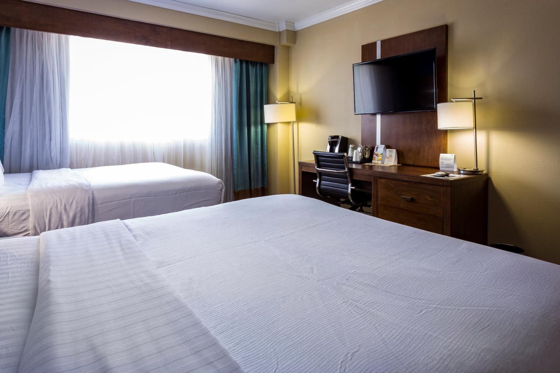 Holiday Inn Houston Downtown by IHG gallery photo in Houston, TX — image 41
