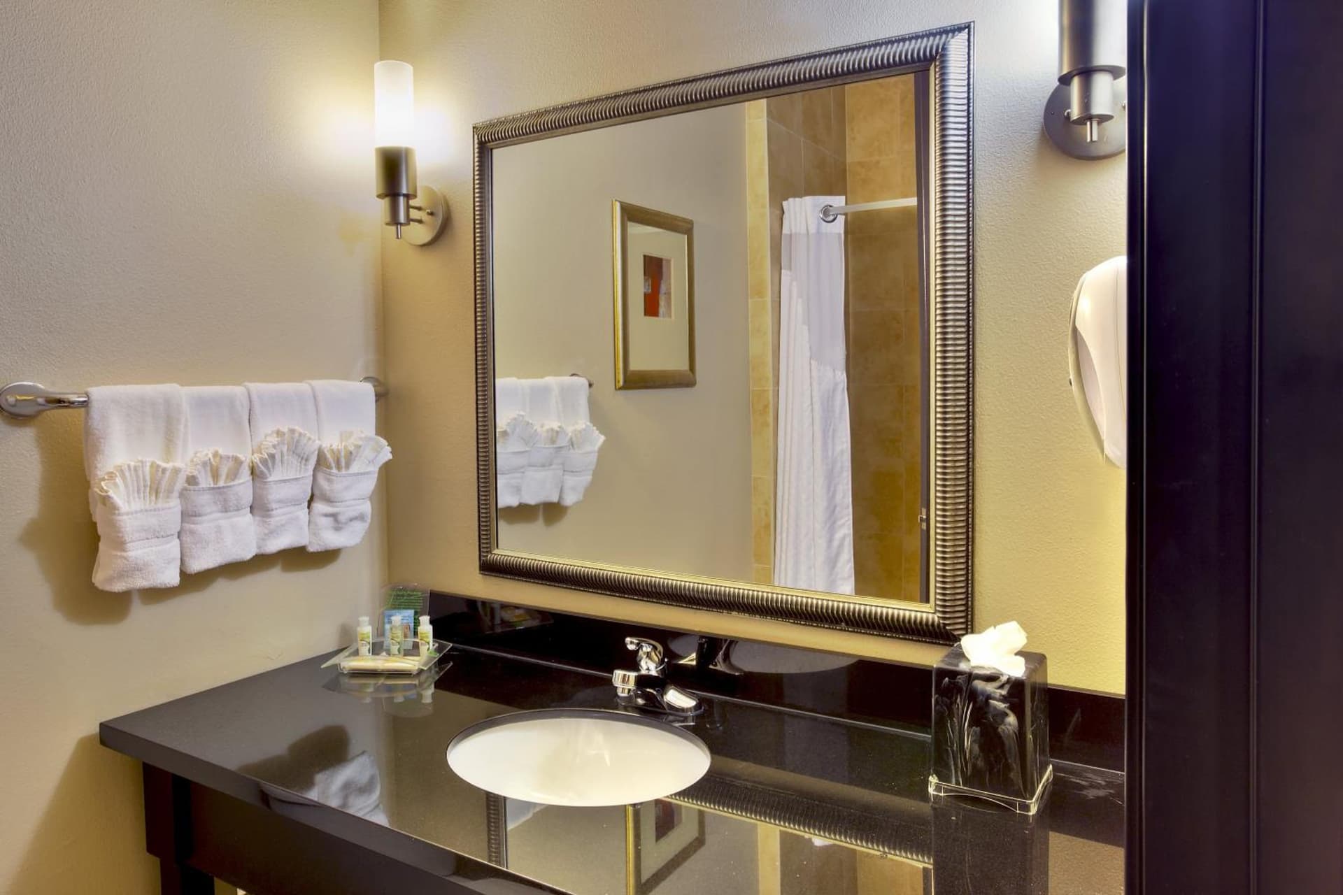 Holiday Inn Killeen - Fort Hood Area by IHG gallery photo in Killeen, TX — image 54