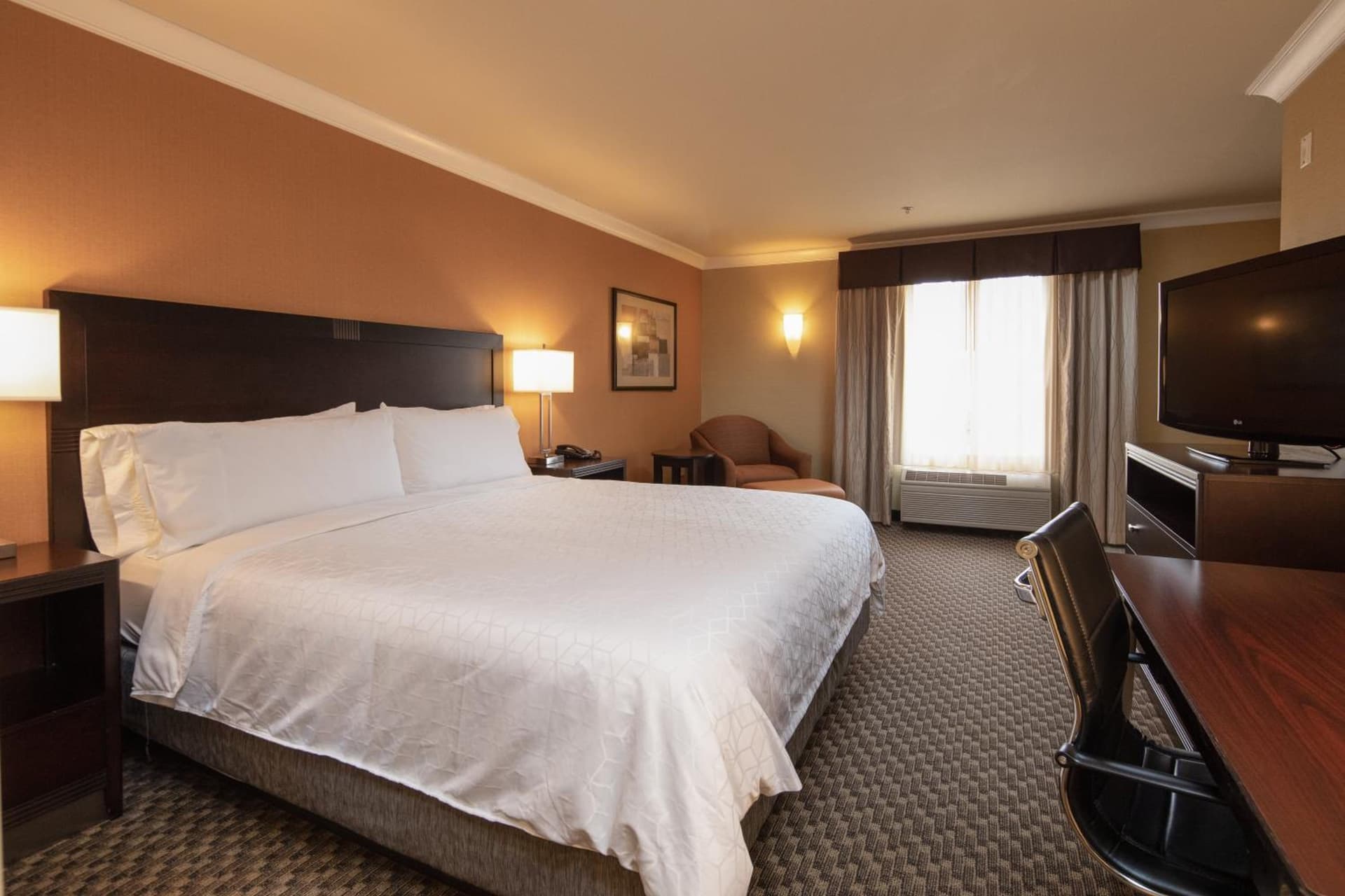Holiday Inn Express Castro Valley - I-580 by IHG gallery photo in Castro Valley, CA — image 10
