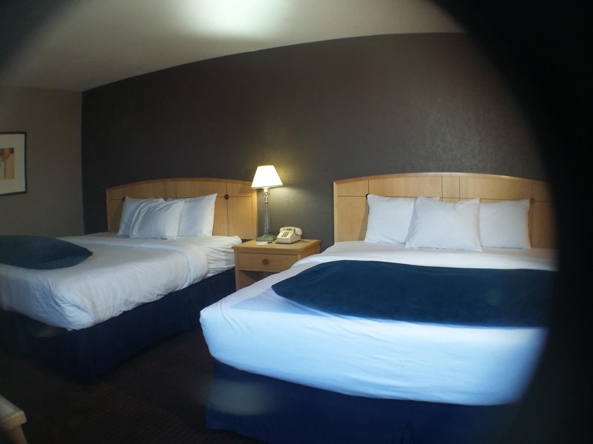 Travelodge by Wyndham Memphis Airport/Graceland gallery photo in Memphis, TN — image 62