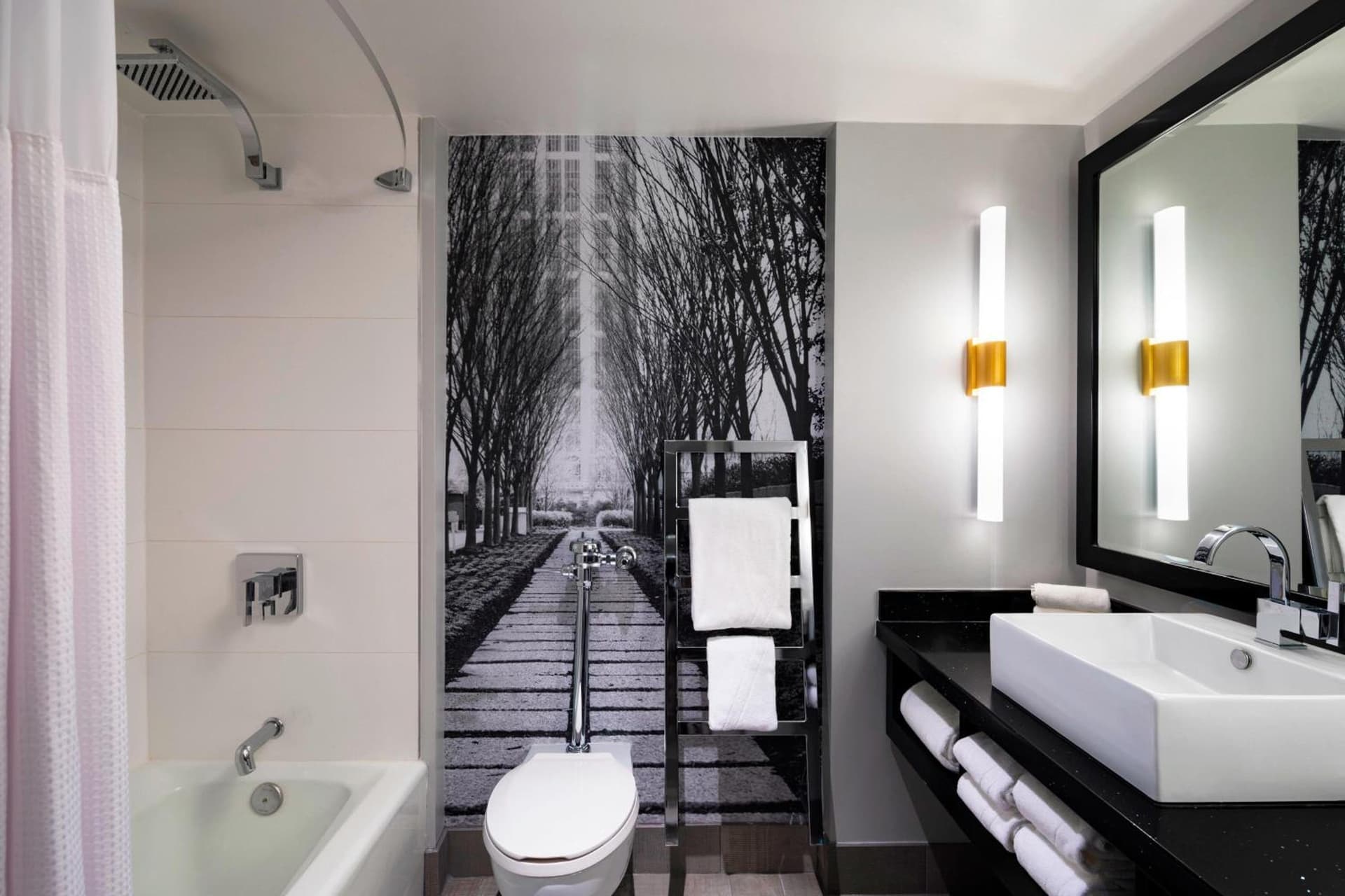 The Starling Atlanta Midtown, Curio Collection by Hilton gallery photo in Atlanta, GA — image 118