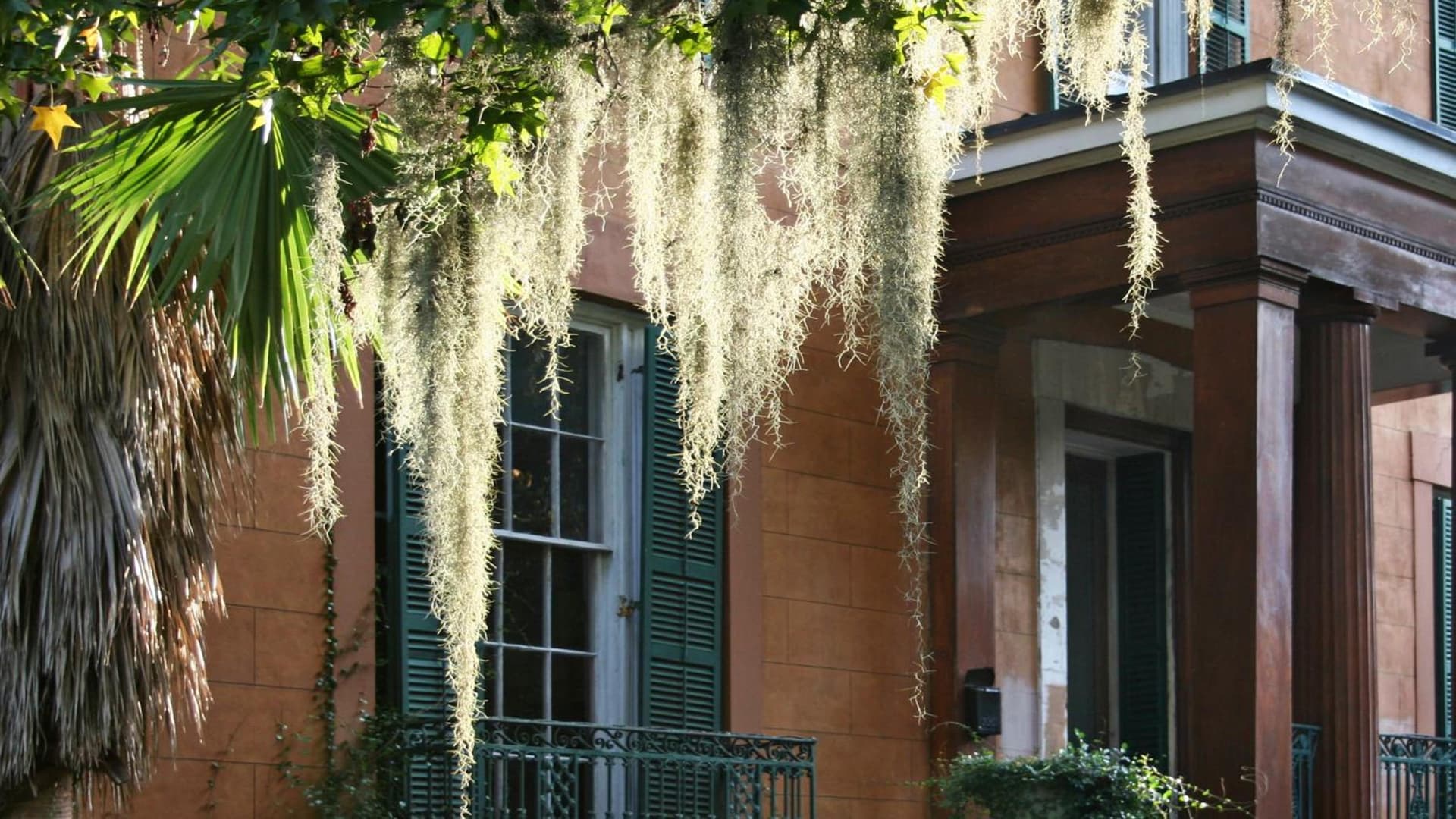 Hotel Indigo Savannah Historic District by IHG gallery photo in Savannah, GA — image 27