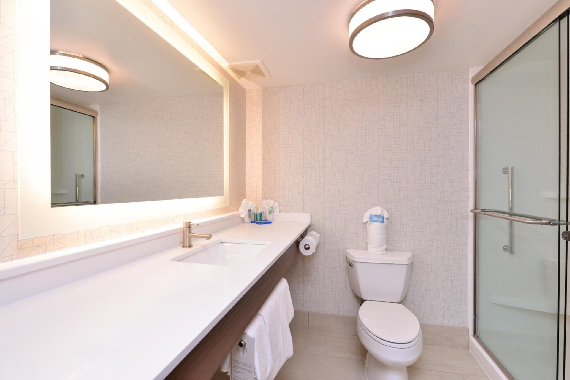 Holiday Inn Express & Suites Indianapolis Dtn-Conv Ctr Area by IHG gallery photo in Indianapolis, IN — image 53