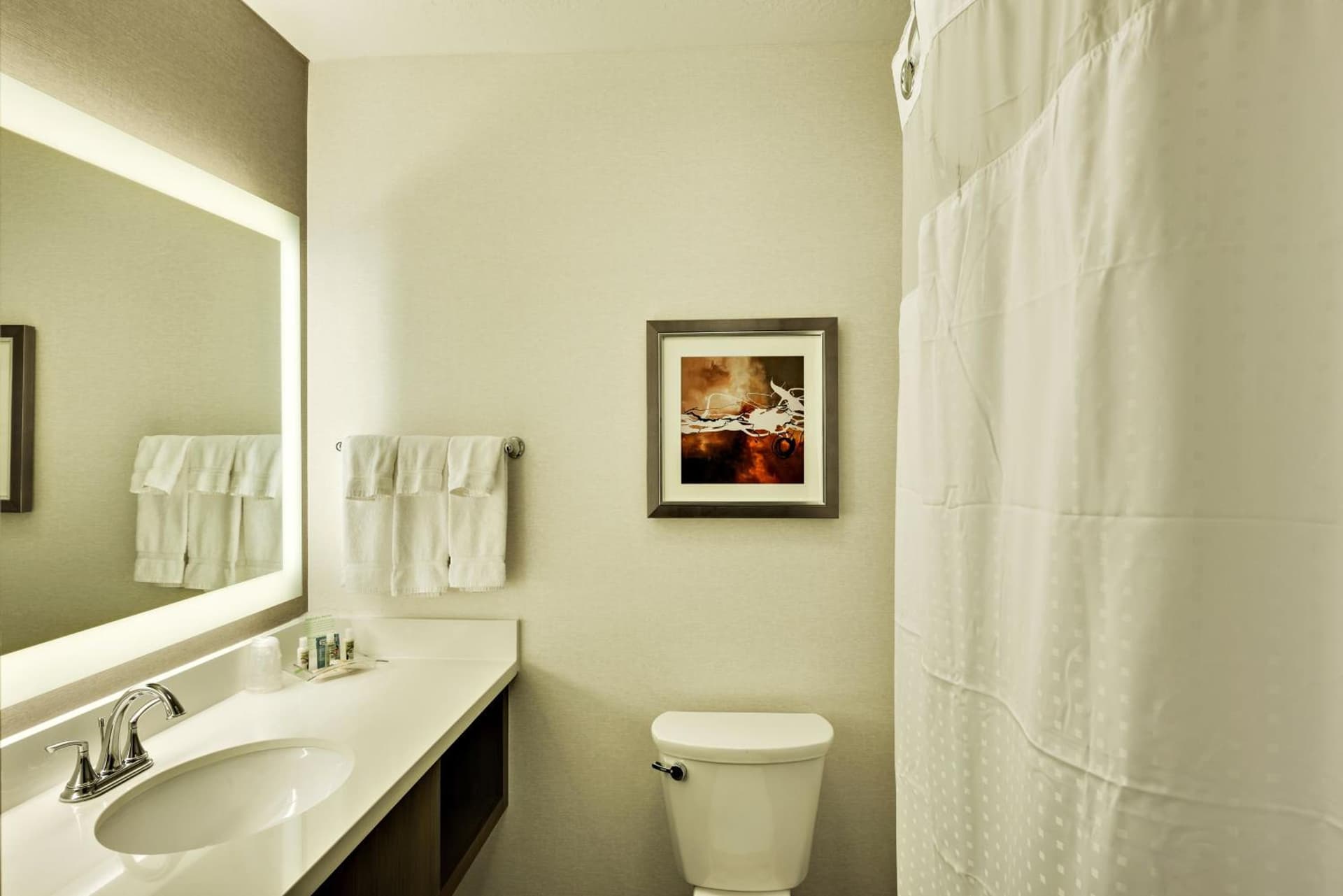 Holiday Inn St. George Convention Center by IHG gallery photo in St. George, UT — image 27