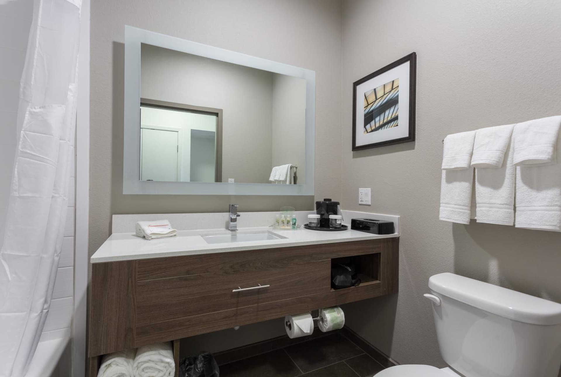 Holiday Inn San Marcos Convention Center by IHG gallery photo in San Marcos, TX — image 34