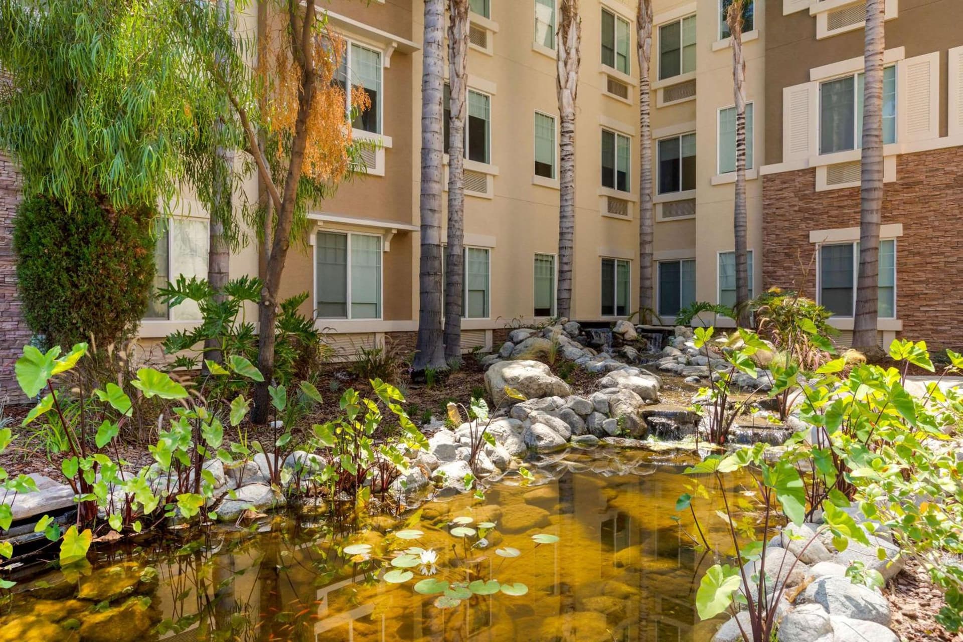 Comfort Inn & Suites Near Ontario Airport gallery photo in Ontario, CA — image 26