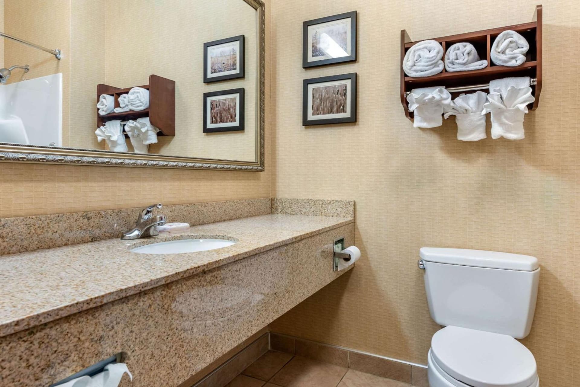 Comfort Suites Elkhart South gallery photo in Elkhart, IN — image 7