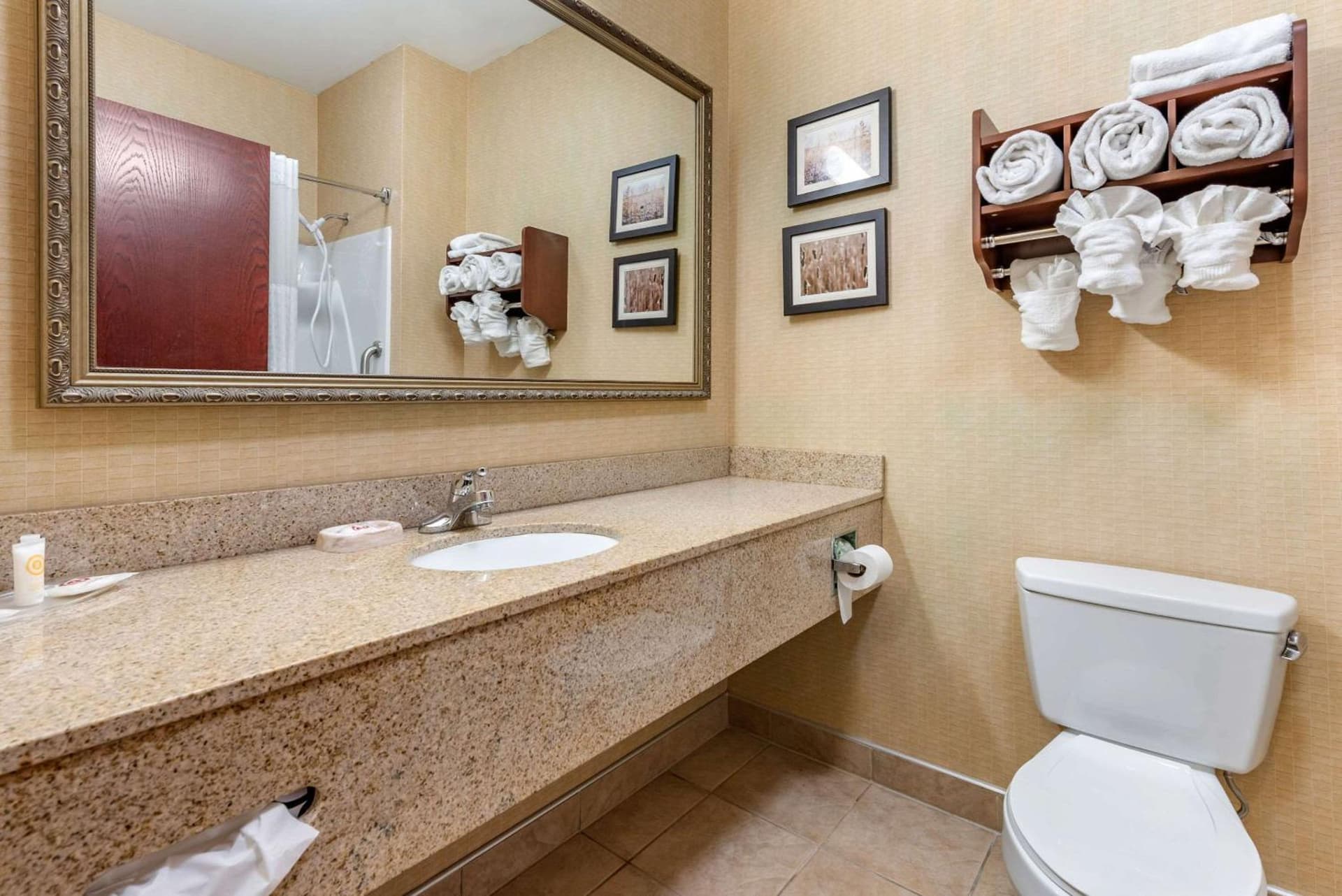 Comfort Suites Elkhart South gallery photo in Elkhart, IN — image 13