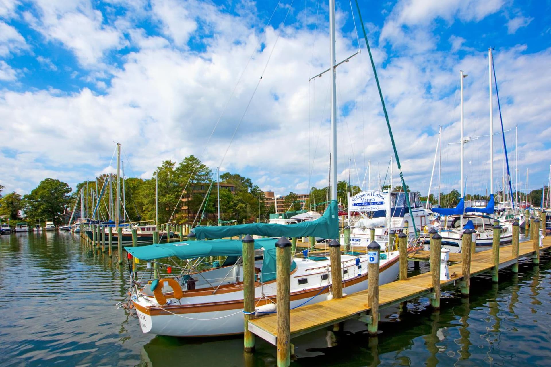 Solomons Inn Resort and Marina gallery photo in Solomons, MD — image 4