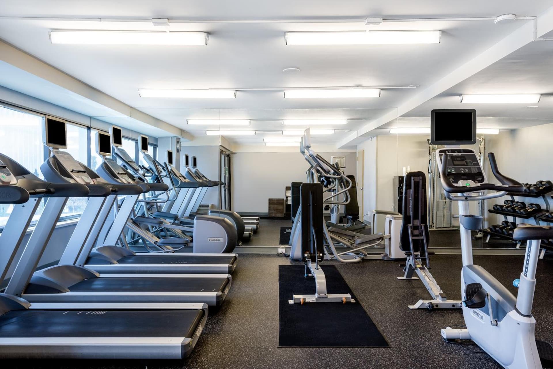 Holiday Inn Los Angeles Gateway-Torrance by IHG gallery photo in Torrance, CA — image 11
