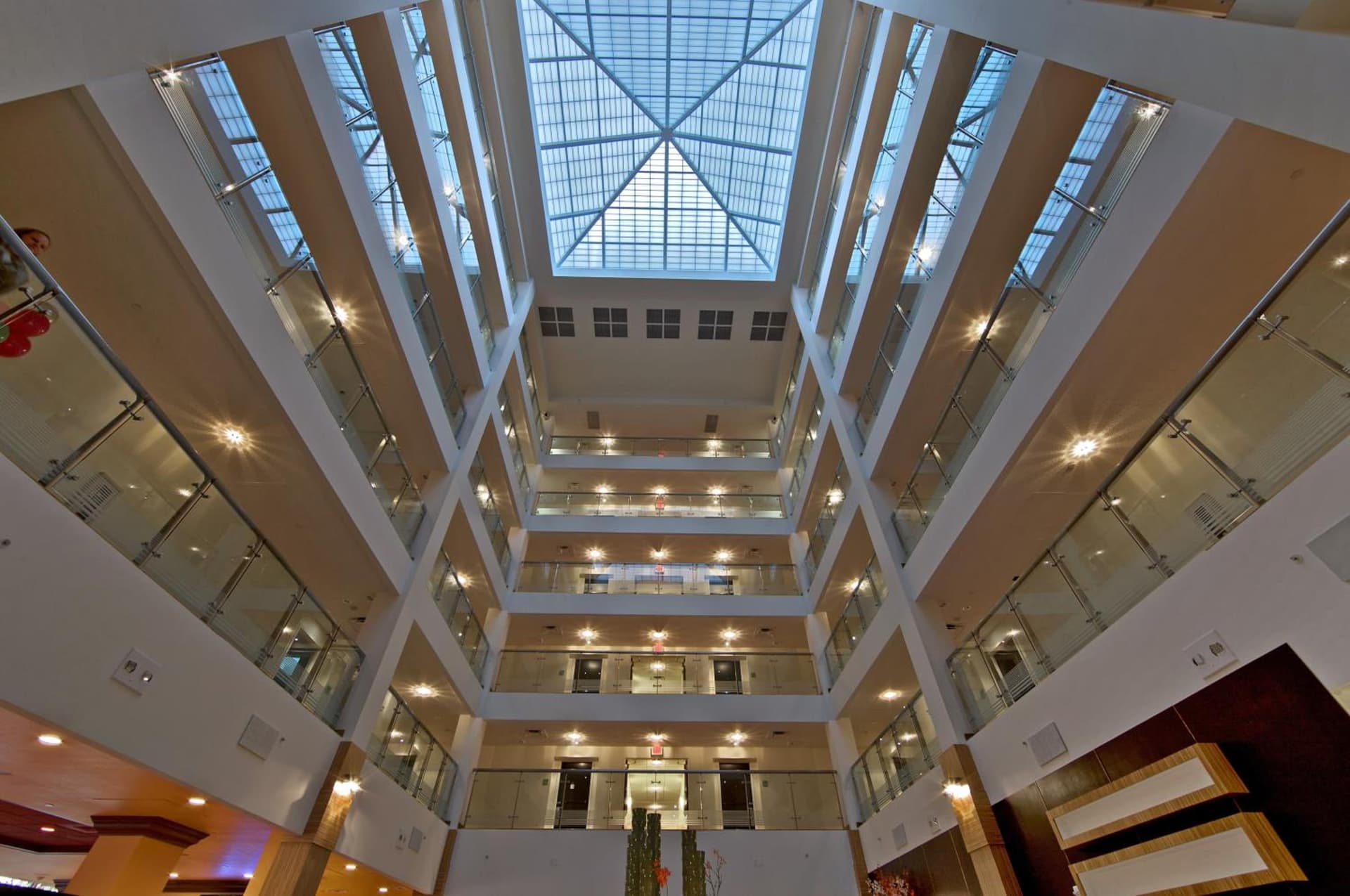 DoubleTree by Hilton Sarasota Bradenton Airport gallery photo in Sarasota, FL — image 5