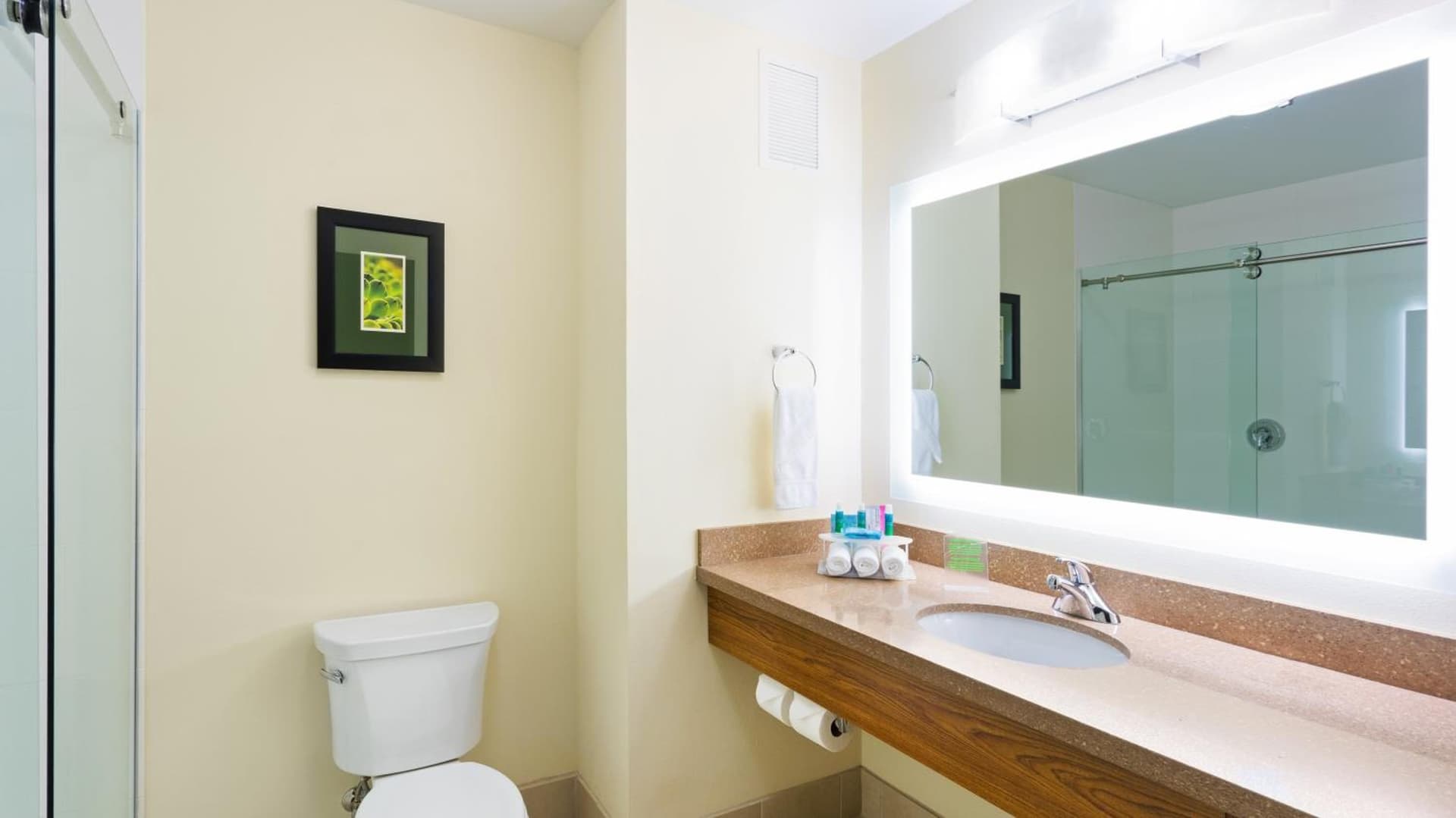 Holiday Inn Express & Suites Midland South I-20 by IHG gallery photo in Midland, TX — image 57