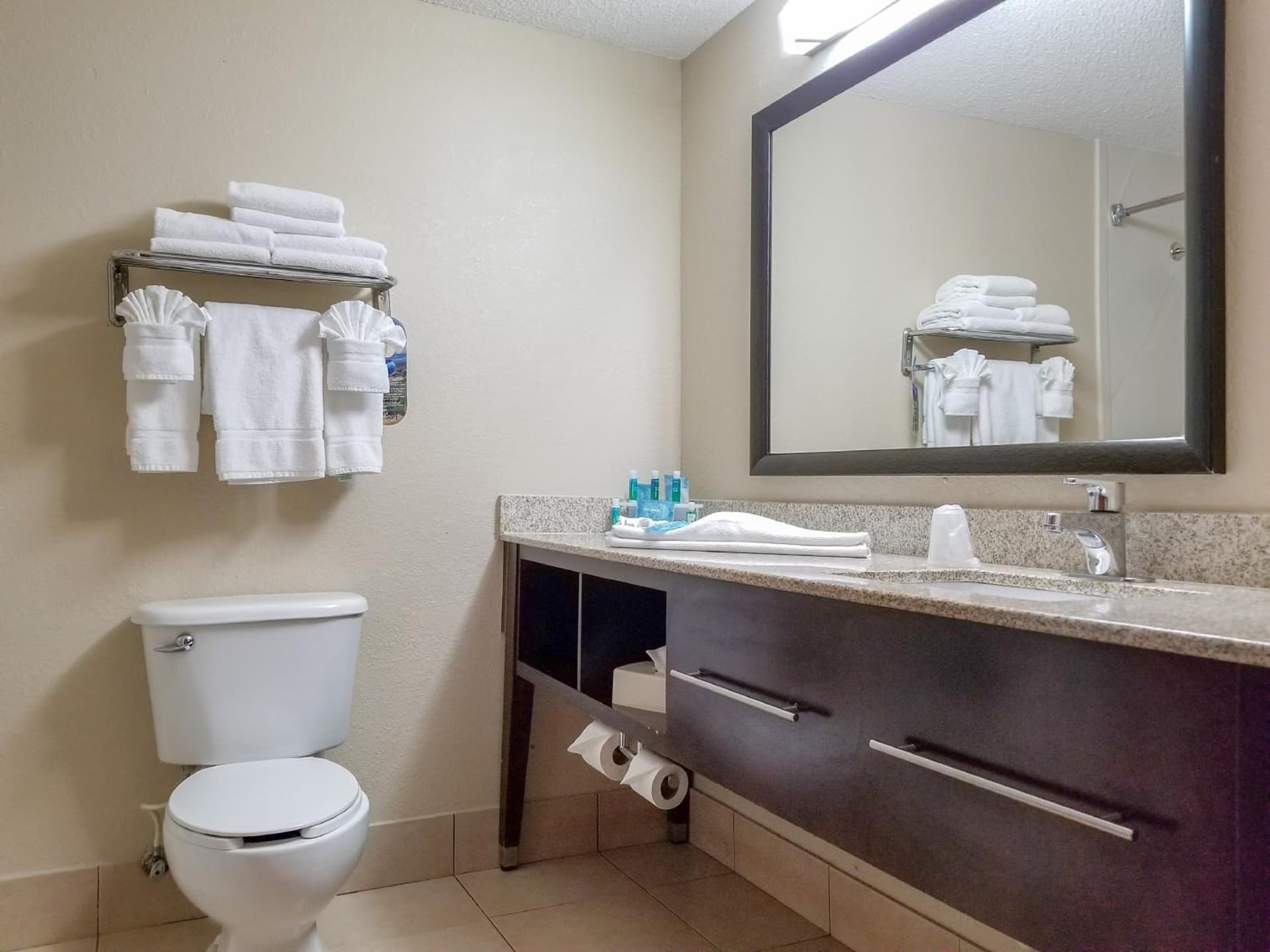 Holiday Inn Express Hotel & Suites Orange City - Deltona by IHG gallery photo in Orange City, FL — image 39