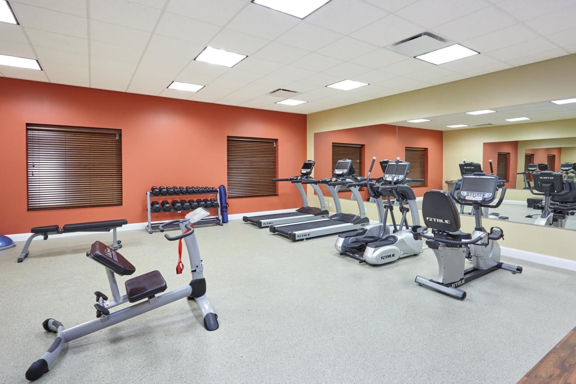Holiday Inn Express Hotel & Suites Columbia Univ Area-Hwy 63 by IHG gallery photo in Columbia, MO — image 37