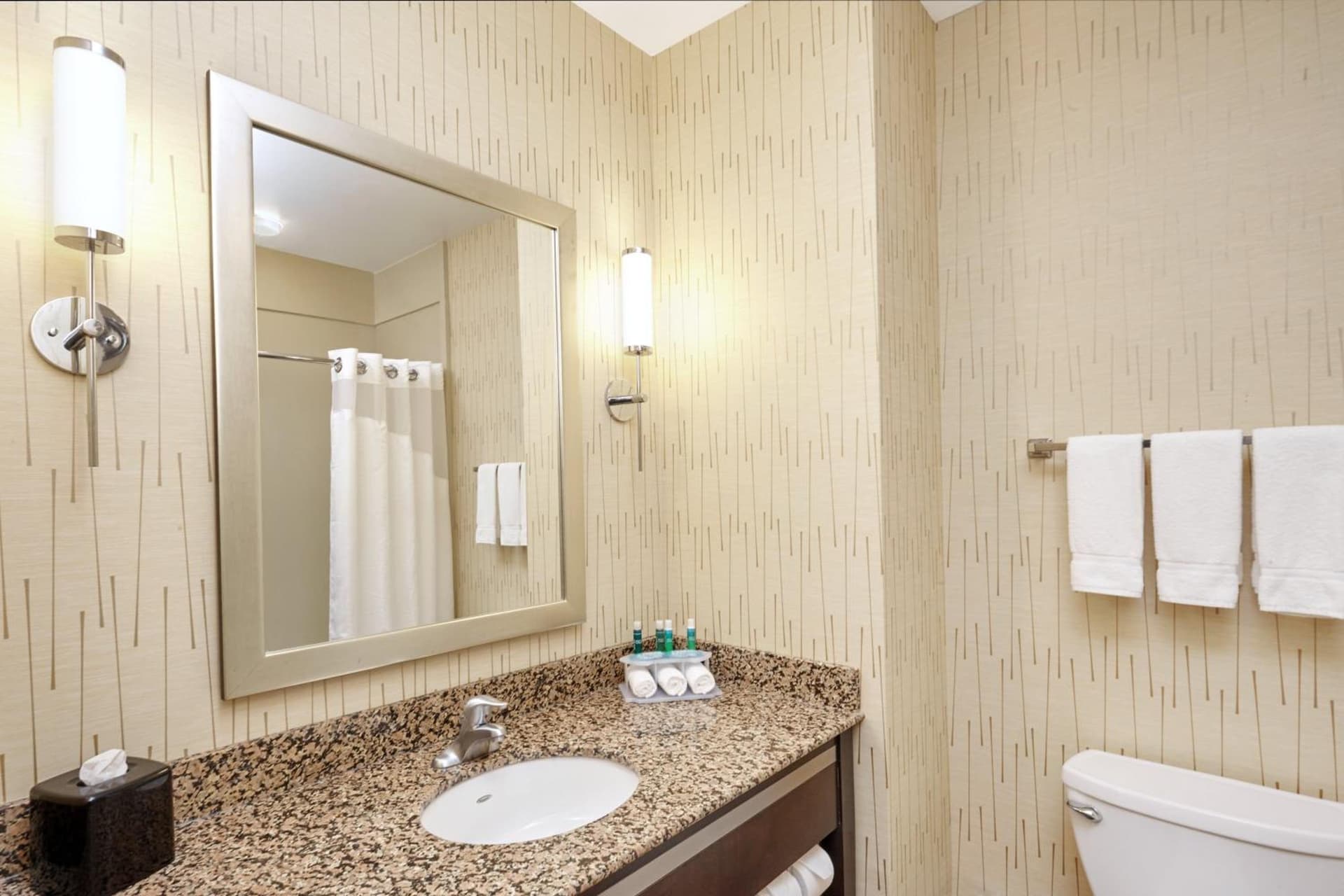 Holiday Inn Express Hotel & Suites Columbia Univ Area-Hwy 63 by IHG gallery photo in Columbia, MO — image 30