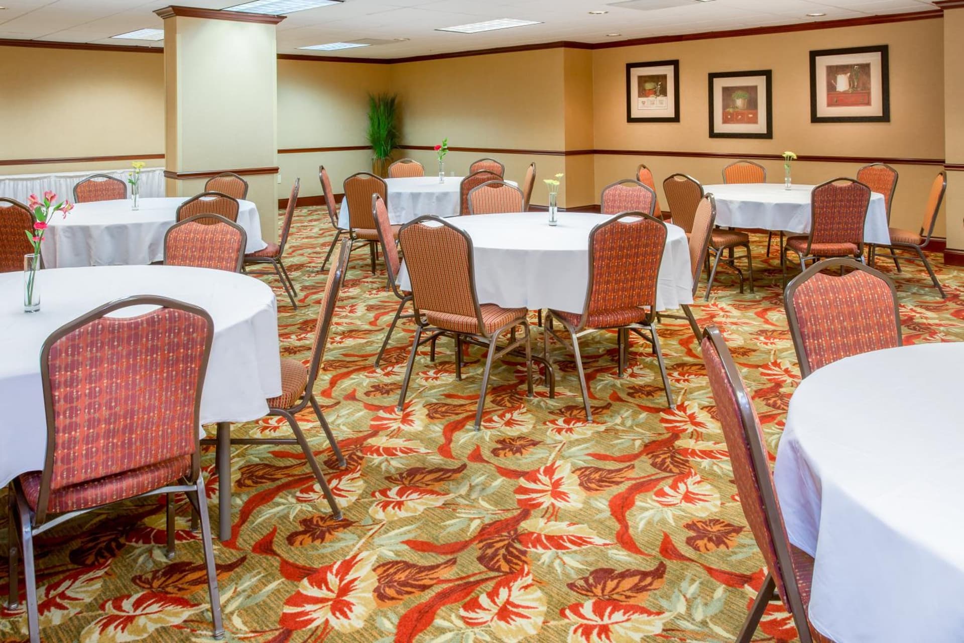 Holiday Inn Express & Suites Bloomington by IHG gallery photo in Bloomington, IN — image 20