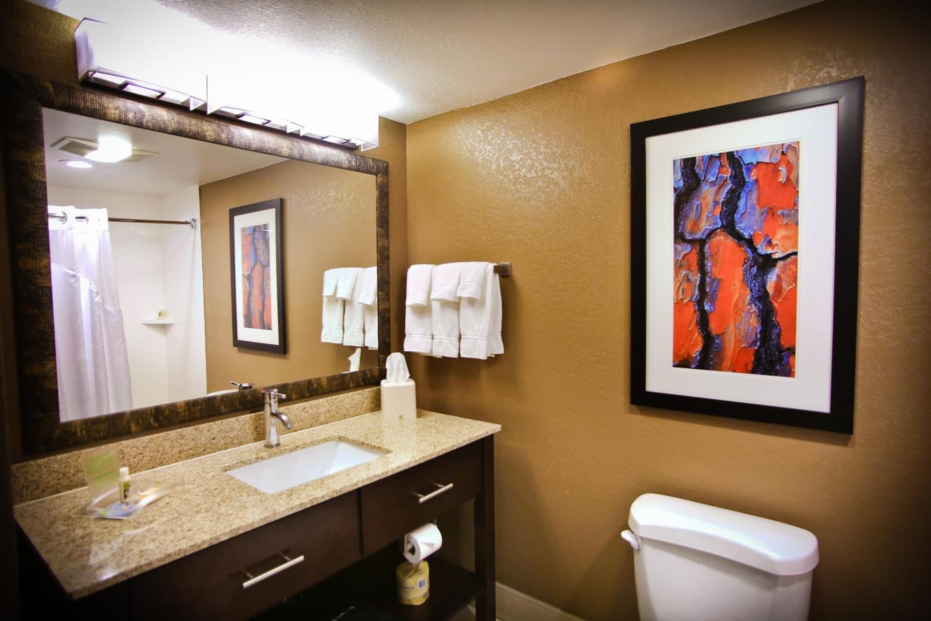 Holiday Inn & Suites Downtown La Crosse, an IHG Hotel gallery photo in La Crosse, WI — image 14