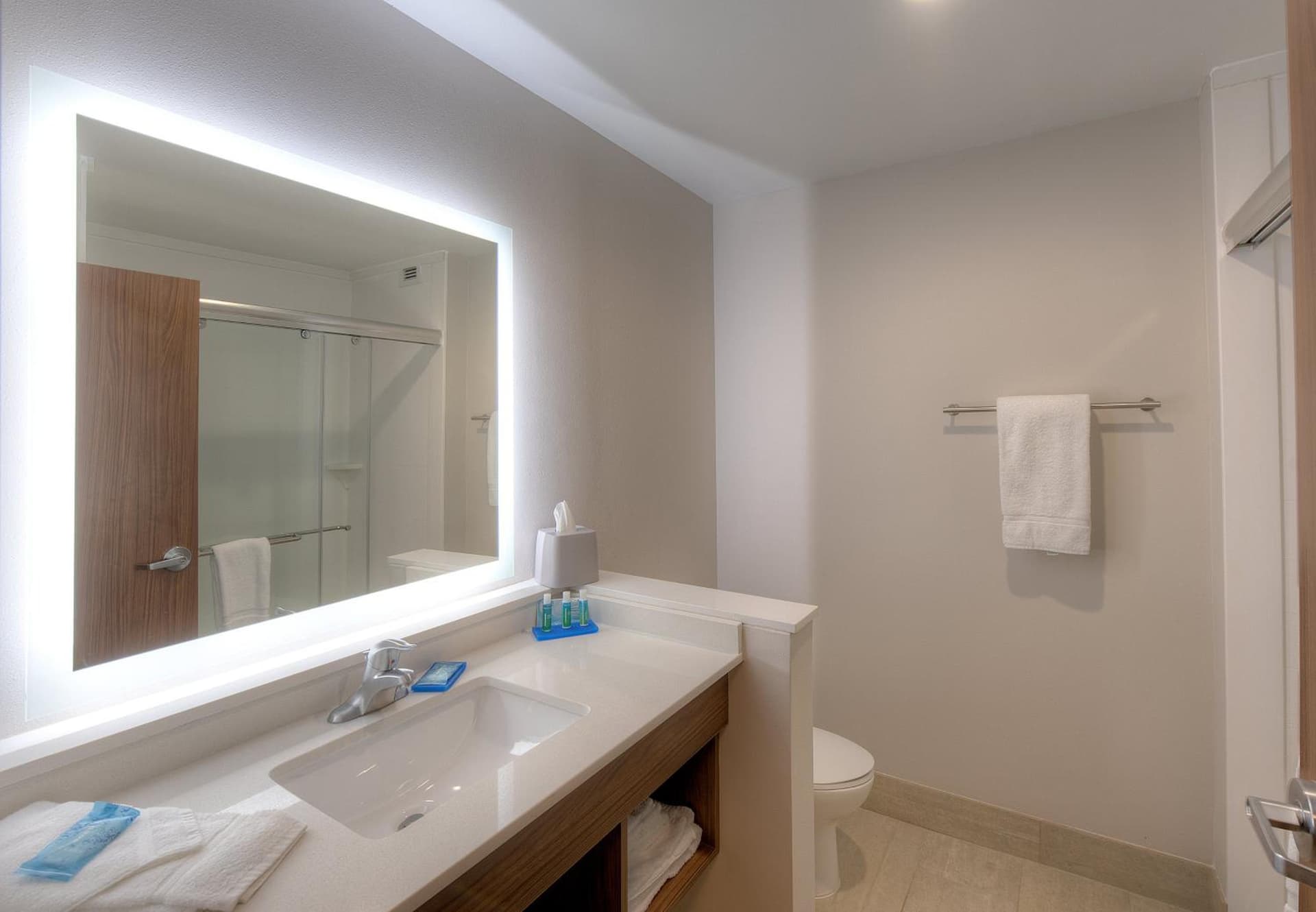 Holiday Inn Express & Suites - Fort Mill by IHG gallery photo in Fort Mill, SC — image 32