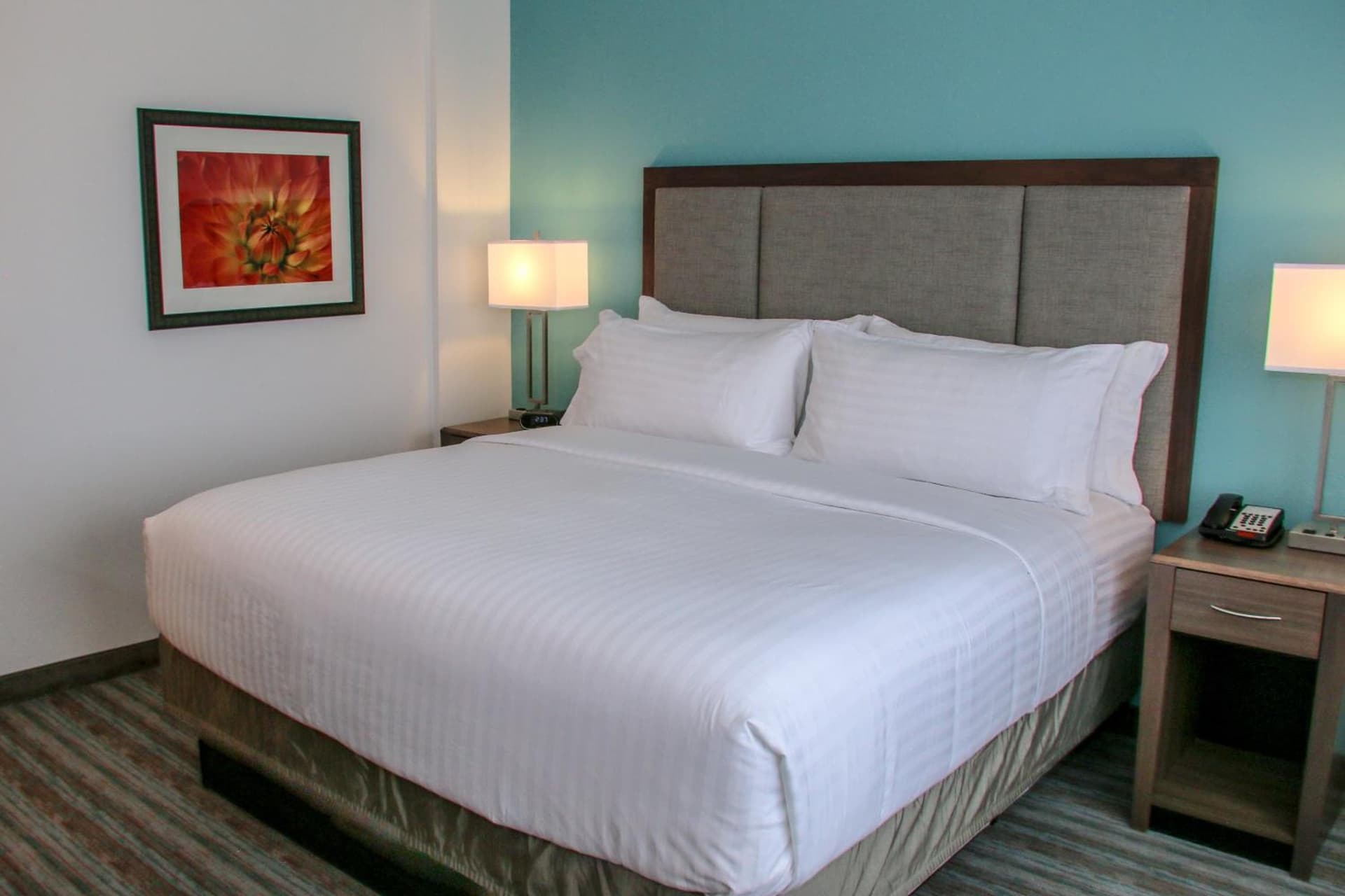 Holiday Inn & Suites Denver Tech Center-Centennial by IHG gallery photo in Centennial, CO — image 39